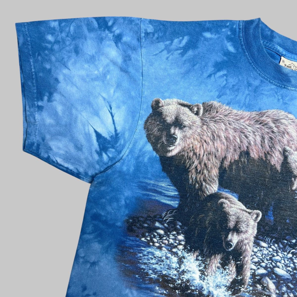 The Mountain × Vintage Vintage 2001 Brown Bears Nature The Mountain Graphic Tee Size US M / EU 48-50 / 2 - 4 Thumbnail