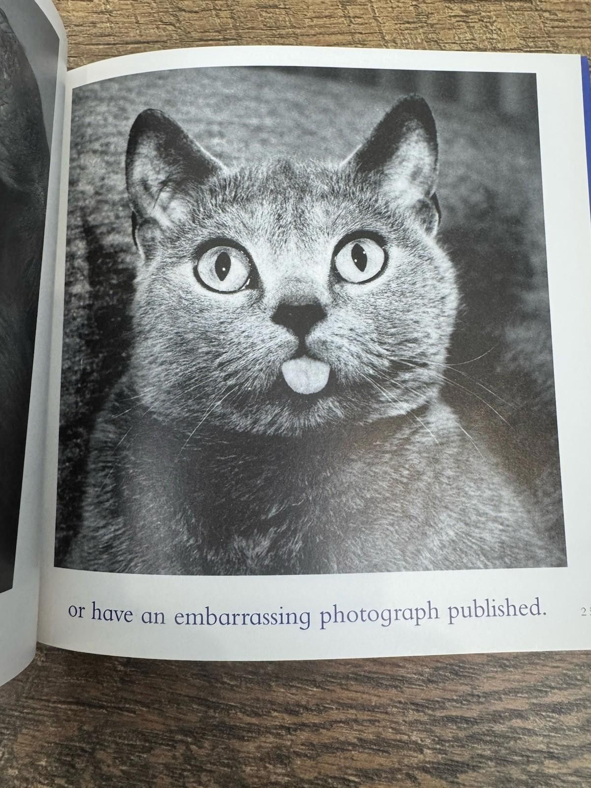 Other The Blue Day Book : A Lesson in Cheering Yourself Up Size ONE SIZE - 7 Thumbnail