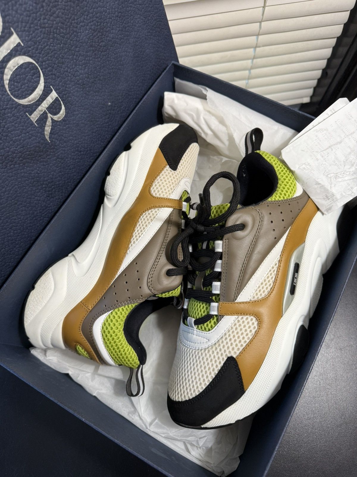 Dior Dior B22 Brown Lime Size Size 8 US / 41 EU Size US 8 / EU 41 - 19 Thumbnail