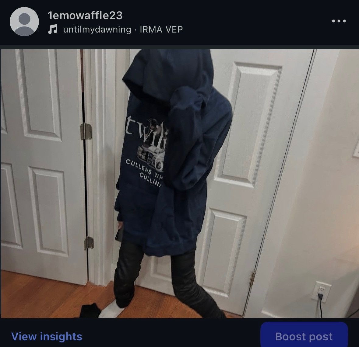 Other Twilight Sixxx Hoodie Size US L / EU 52-54 / 3 - 3 Thumbnail