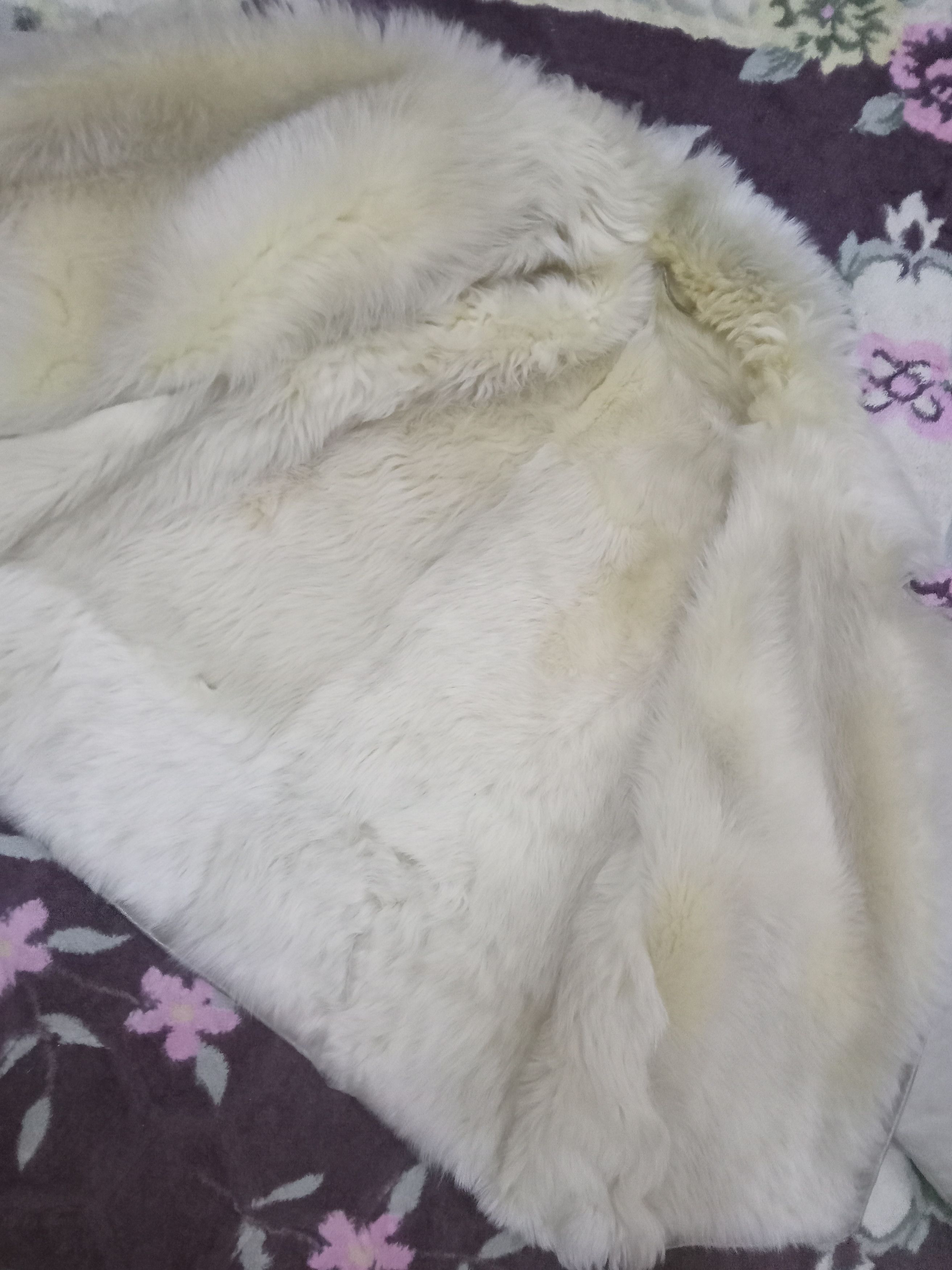 Loewe Loewe Leather Fur Lined Extremely Rare Jacket Size M / US 6-8 / IT 42-44 - 5 Thumbnail