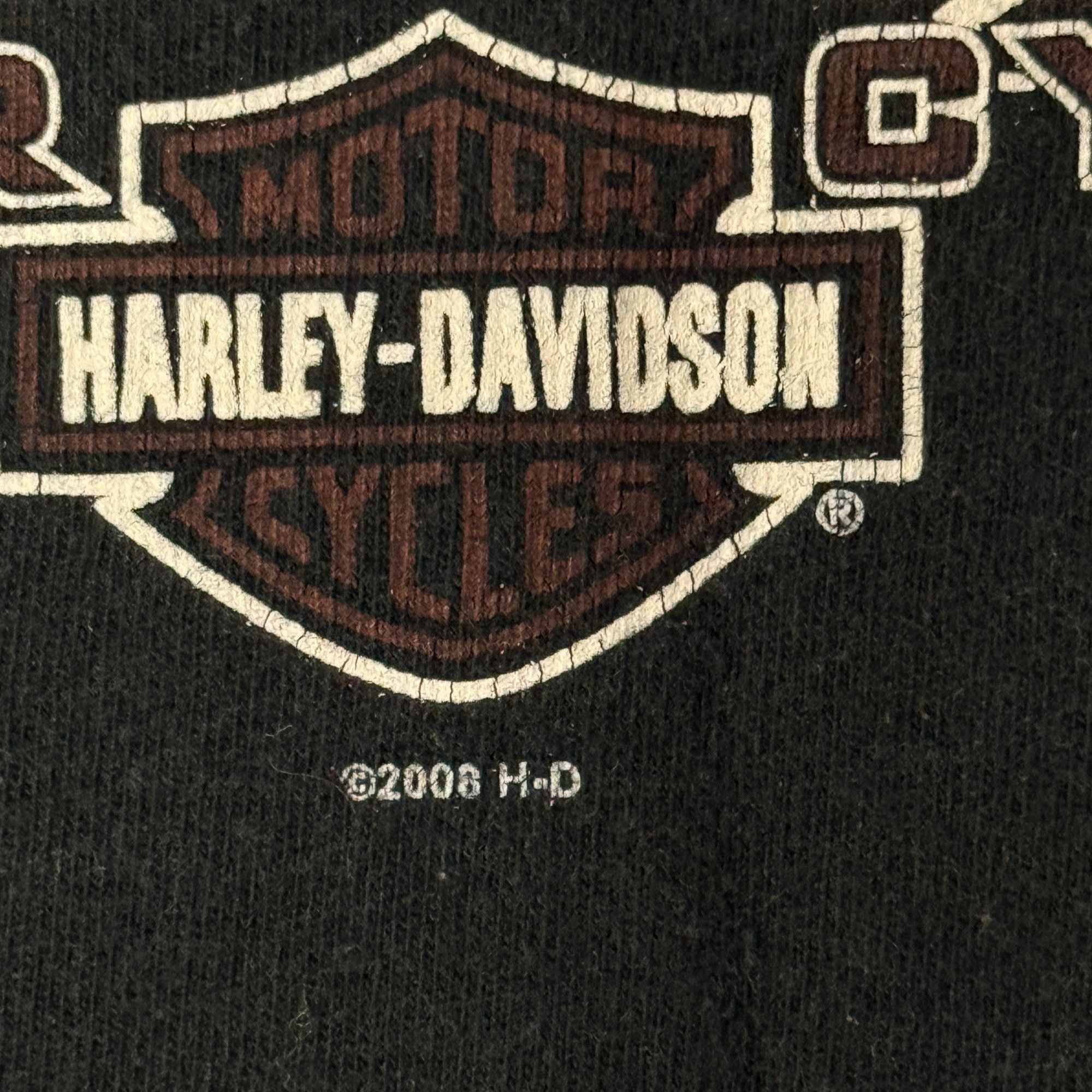 Harley Davidson 2008 Motorcycles Southtowns BUFFALO New York Biker T Shirt Size US M / EU 48-50 / 2 - 6 Thumbnail