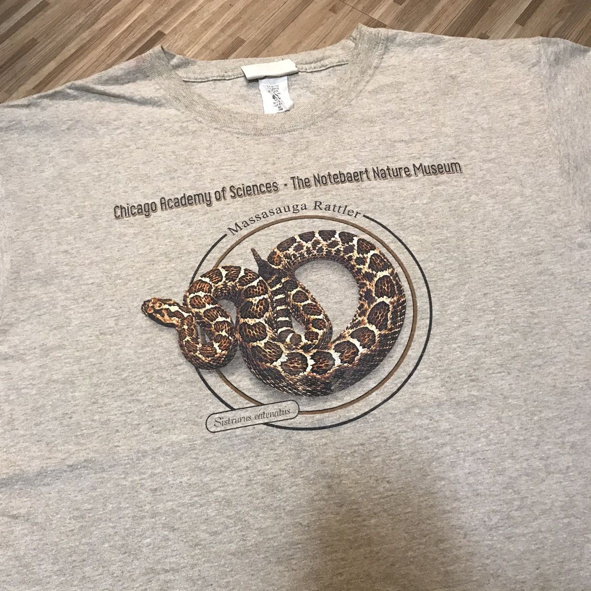 Vintage VINTAGE Y2K MASSASAUGA RATTLER SNAKE SISTRURUS CATENATUS TEE Size US L / EU 52-54 / 3 - 7 Thumbnail