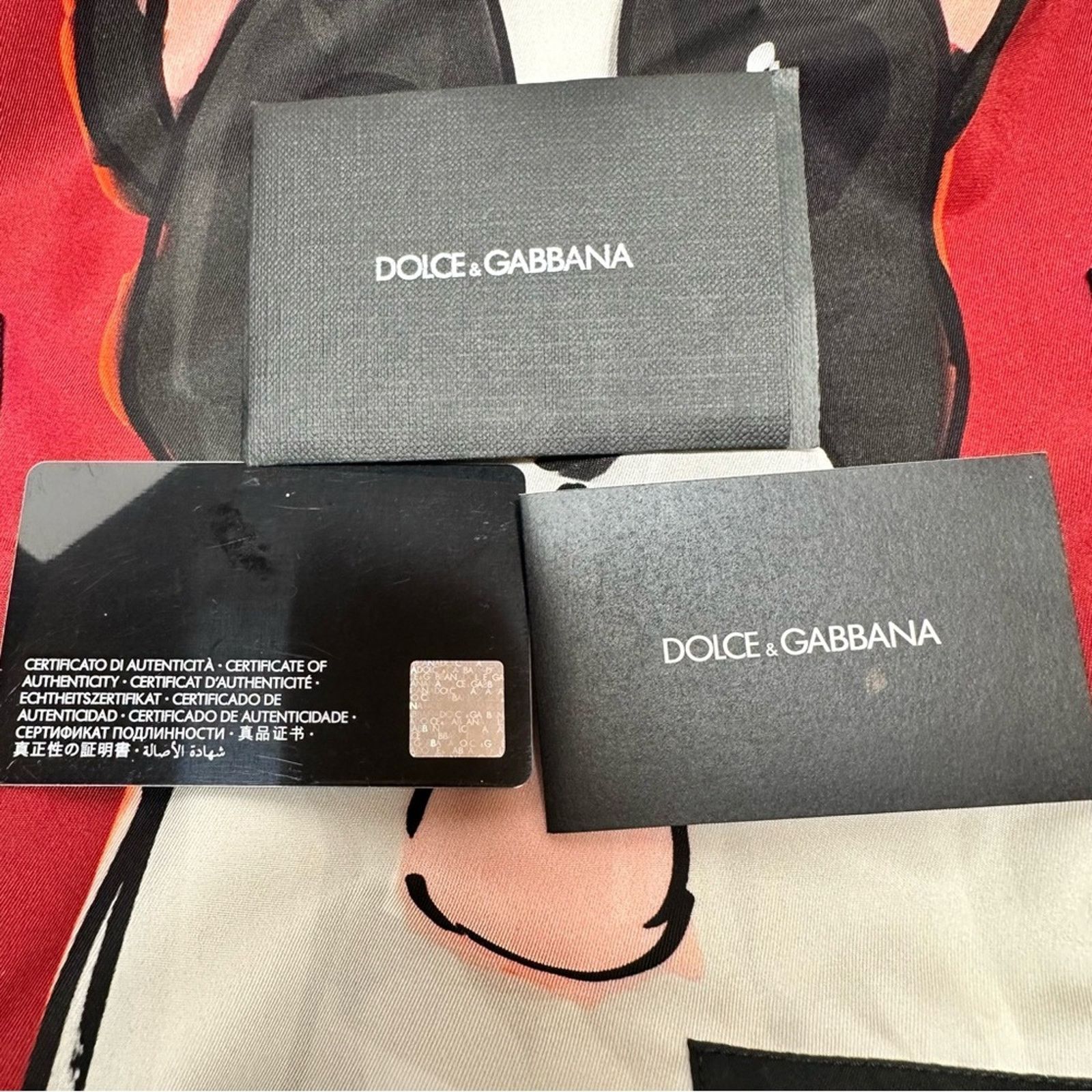 Dolce & Gabbana Dolce & Gabbana Vulcano Nylon Dog Backpack Size ONE SIZE - 10 Thumbnail