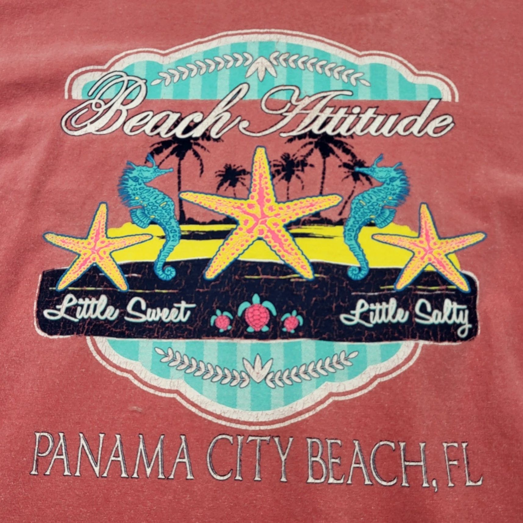 Comfort Colors Comfort Colors Tshirt Womens L Beach Attitude Panama City Beach Florida Beach Love Preppy Casual Short Sleeve Cotton T-Shirt Womens Size L / US 10 / IT 46 - 2 Thumbnail