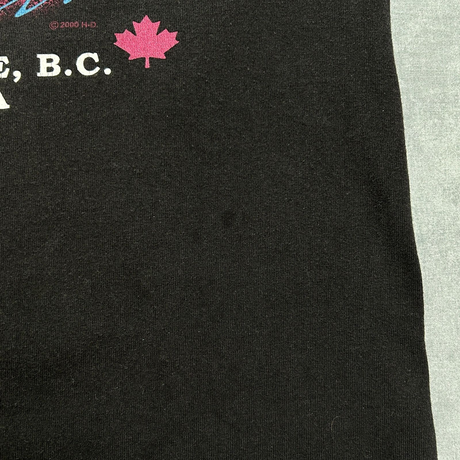 Harley Davidson VTG 1999 Harley Davidson Prince George Canada tshirt mens M Size US M / EU 48-50 / 2 - 8 Thumbnail