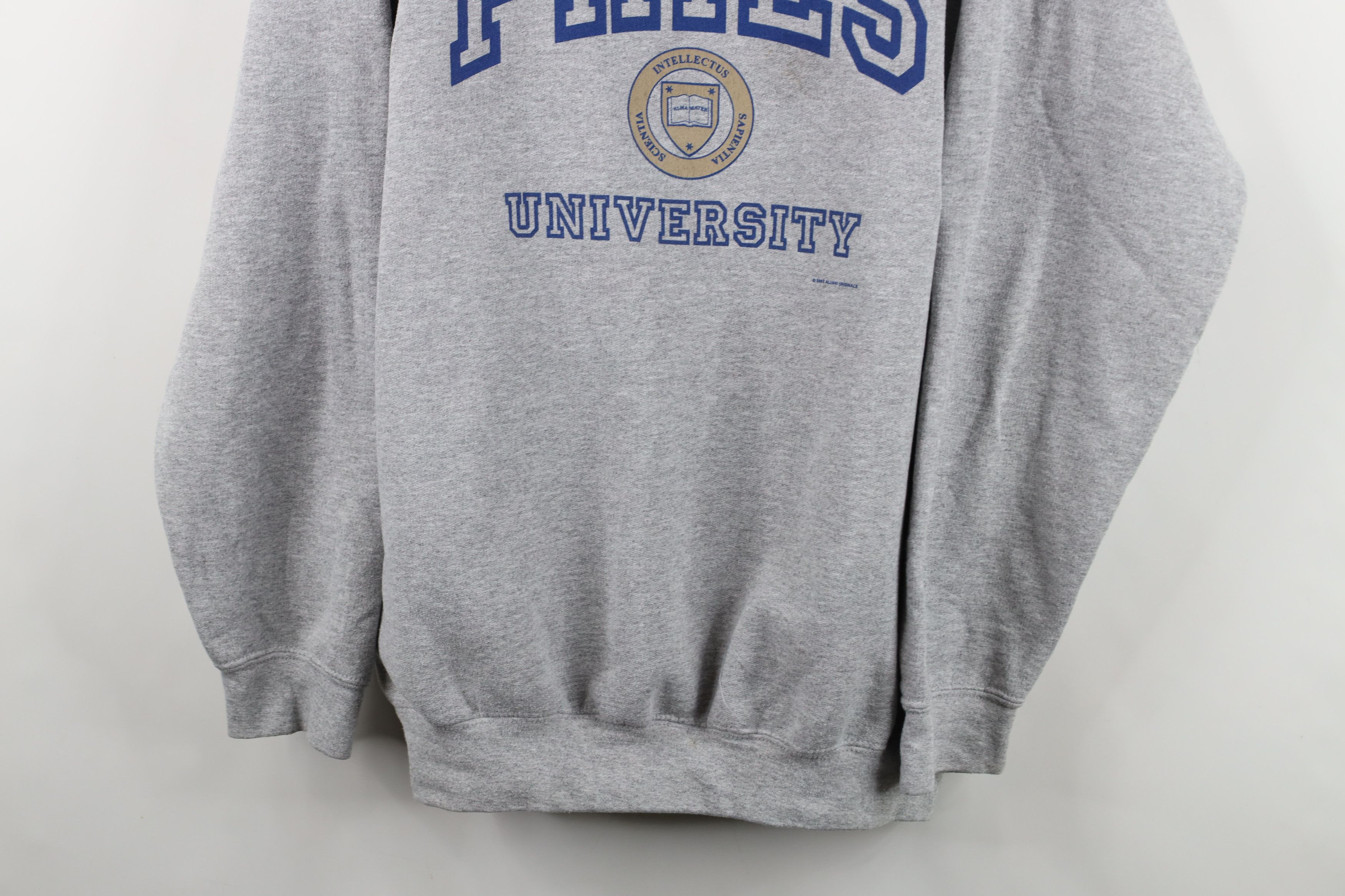 Vintage Vintage Y2K 2002 Fries University Crewneck Sweatshirt Gray Size US L / EU 52-54 / 3 - 3 Thumbnail