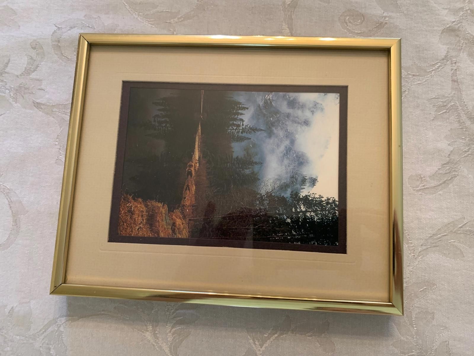 Other 10 1/2 x 8 1/2 Picture in Gold Frame Size ONE SIZE - 1 Thumbnail