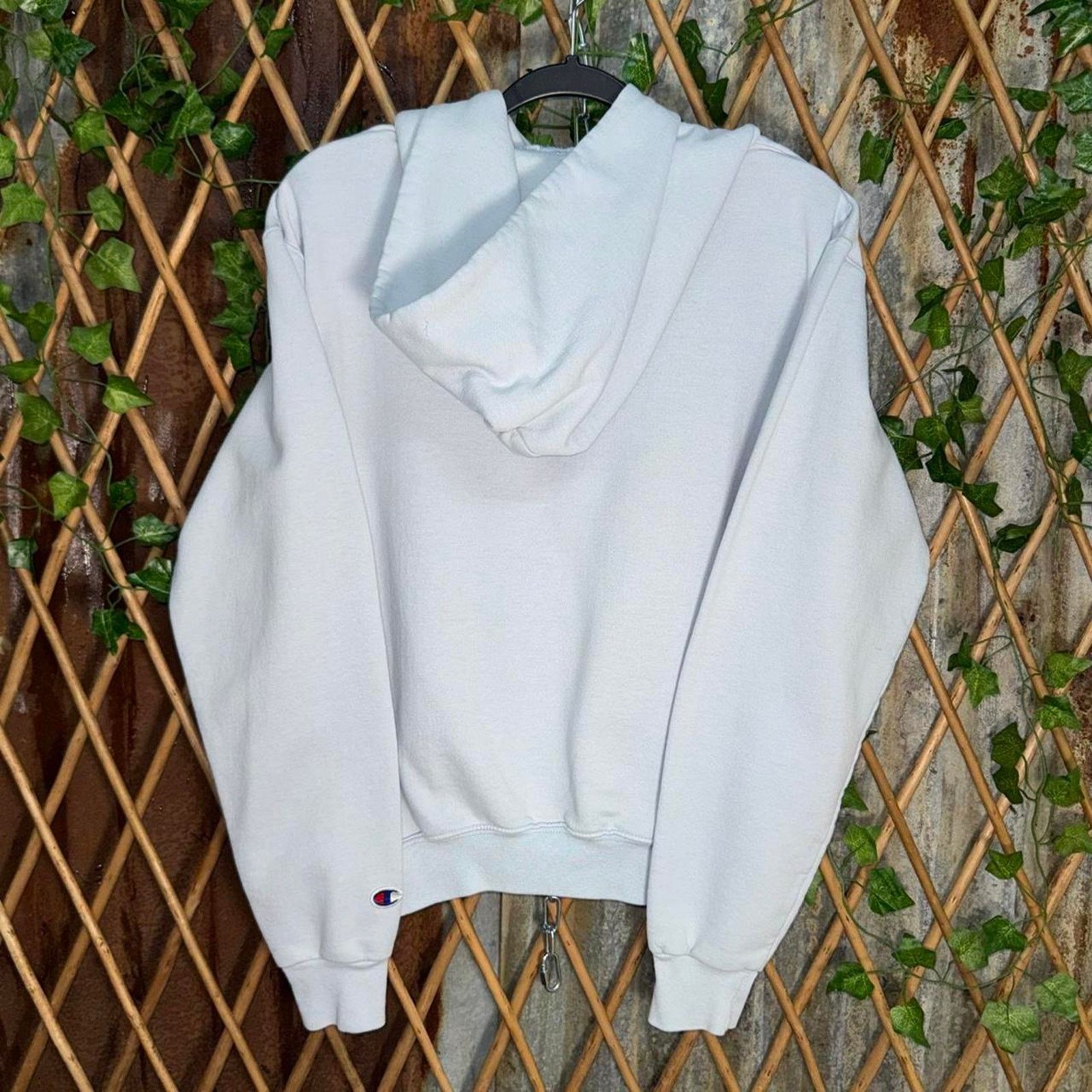 Champion Vintage y2k harvard university embroidered champion hoodie Size US S / EU 44-46 / 1 - 2 Thumbnail