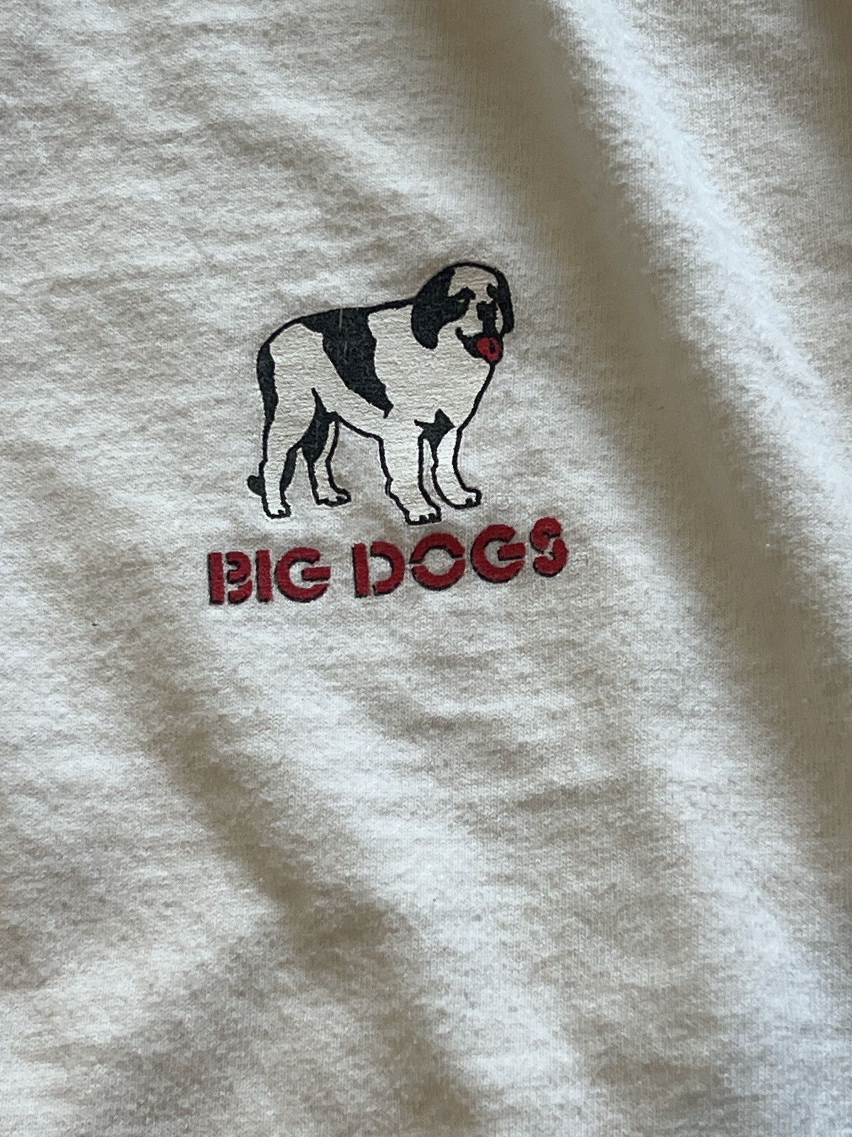 Big Dogs Big Dogs If YouTube MySpace I’ll Google Your Yahoo 5xL Y2K Size US XXL / EU 58 / 5 - 4 Thumbnail