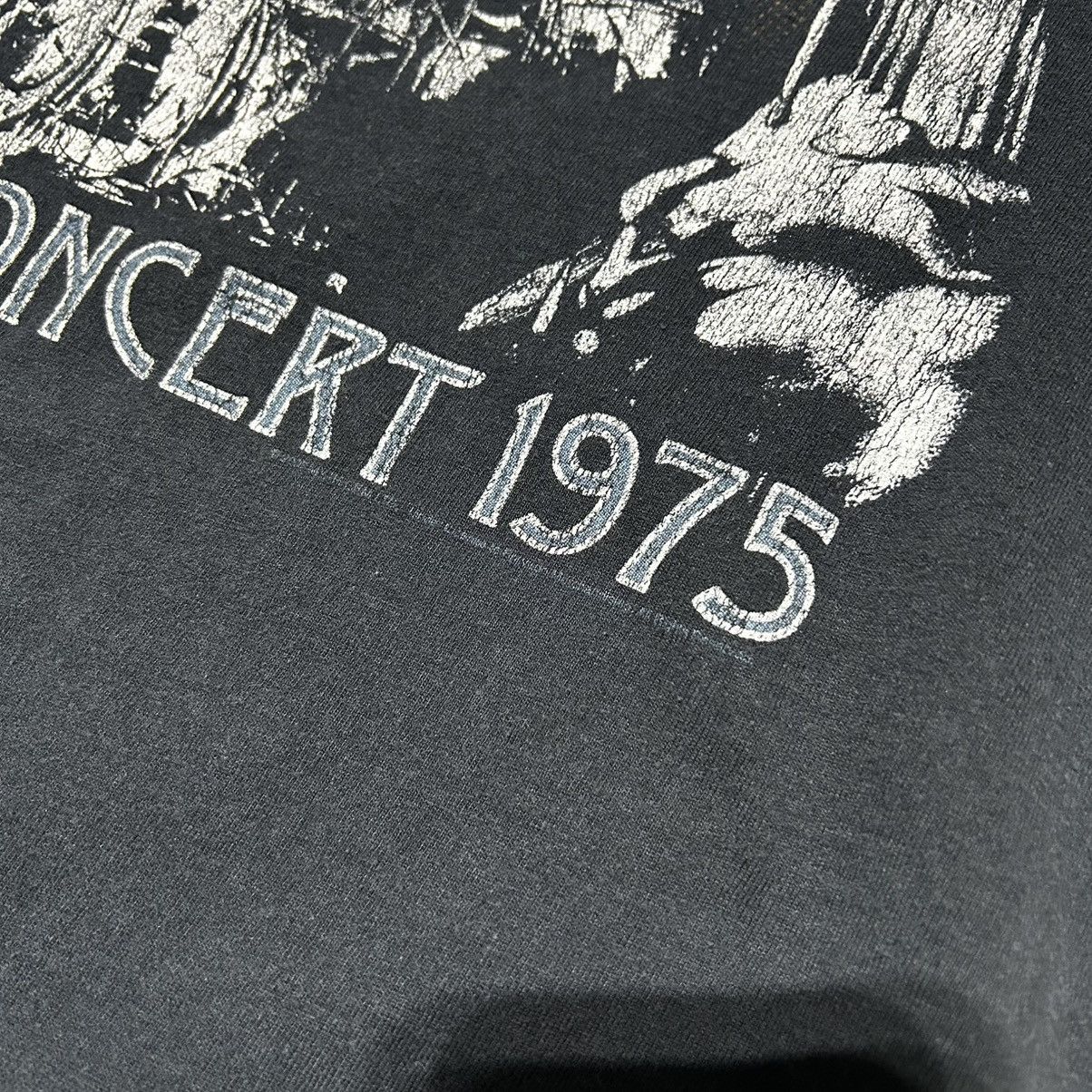 Hanes vintage 2007 led zeppelin tee Size US M / EU 48-50 / 2 - 4 Thumbnail