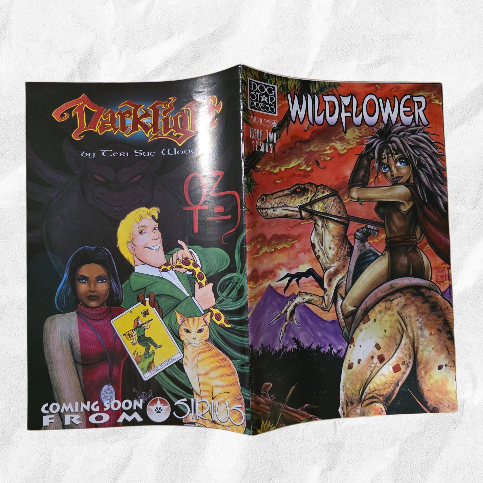 Other Wildflower #2 VF 1998 Sirius Dog Star Press Comic (C) Size ONE SIZE - 5 Thumbnail