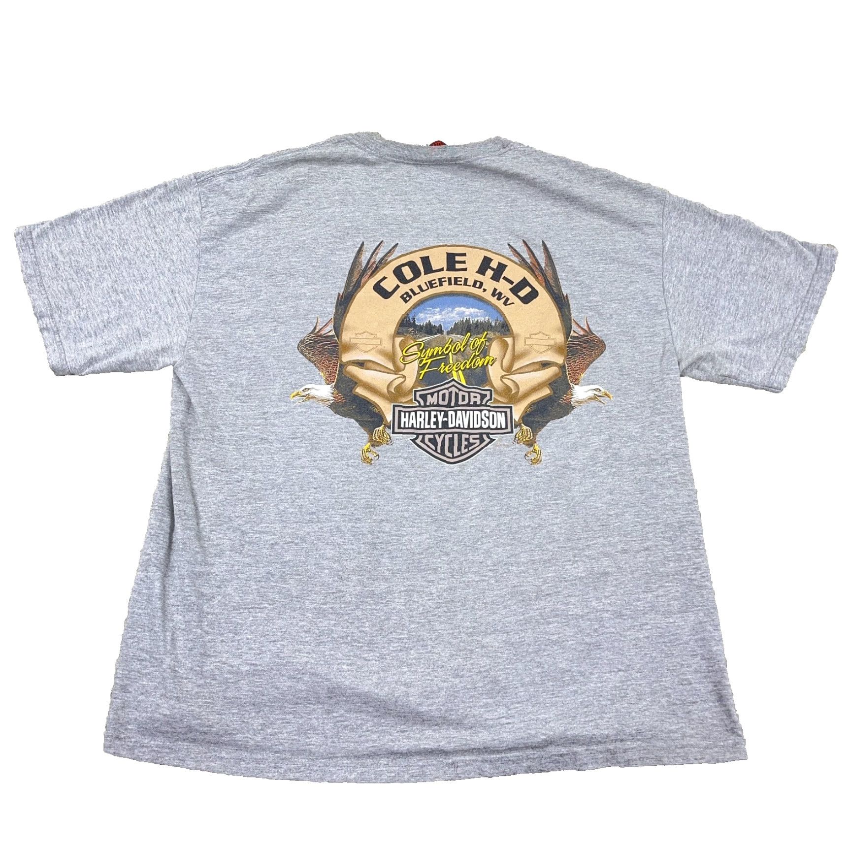 Harley Davidson Harley-Davidson Shirt Men XL Gray Biker Tee Eagle Nature Fire Flames Y2K Adult Size XL Gray Harley-Davidson Shirt Mens XL Gray 80s Retro Vintage? Size US XL / EU 56 / 4 - 2 Thumbnail