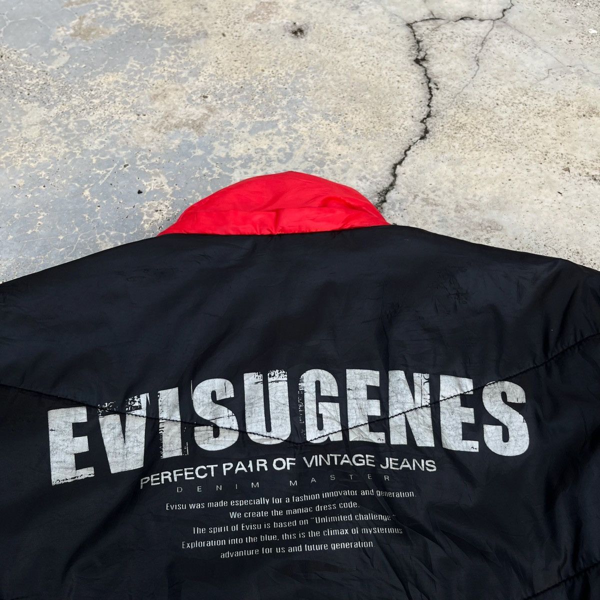 Evisu Evisu Genes Jacket Embroided Logo Design Japanese Brand Size US L / EU 52-54 / 3 - 6 Thumbnail