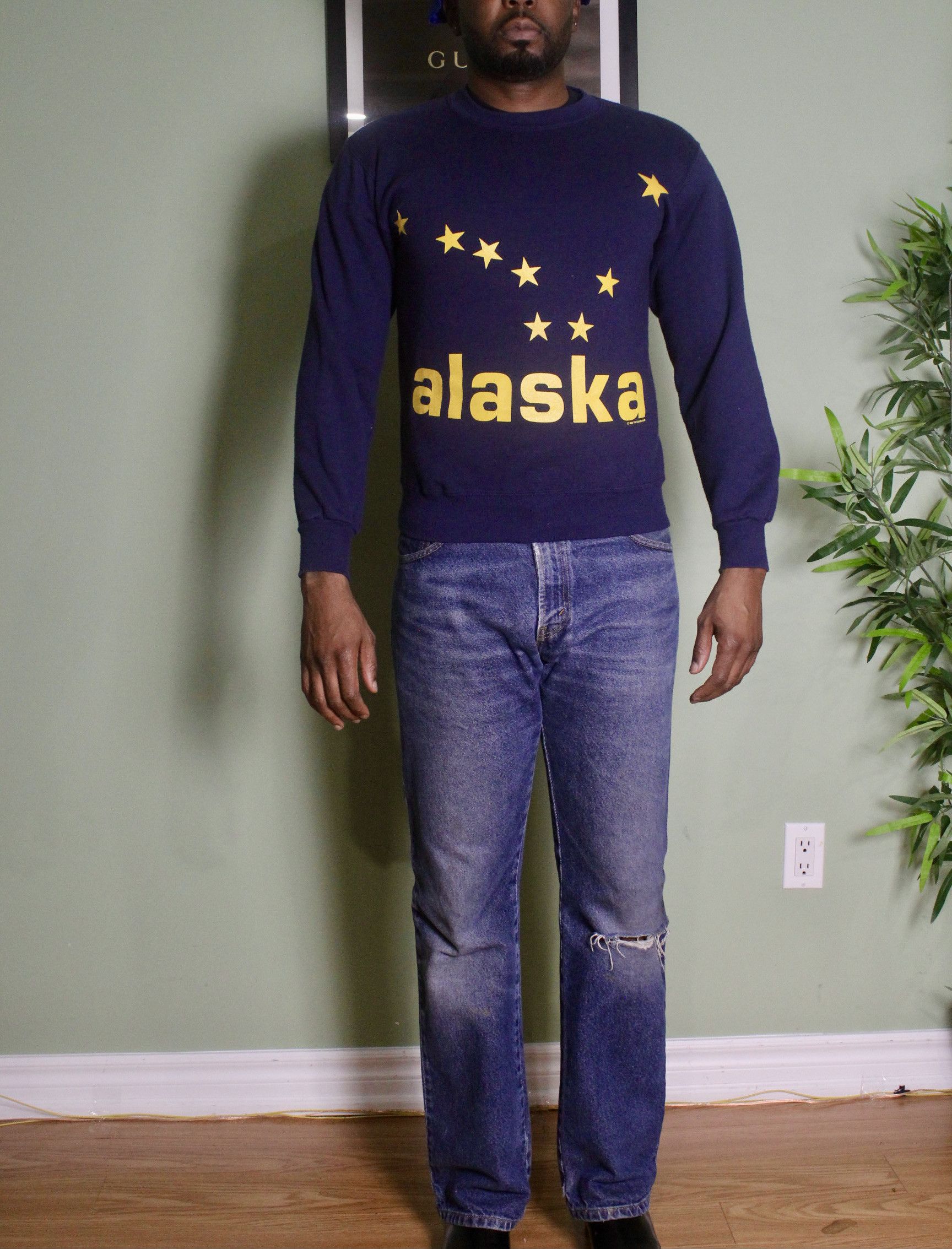 Vintage Vintage Alaska Crewneck Size US XS / EU 42 / 0 - 2 Thumbnail