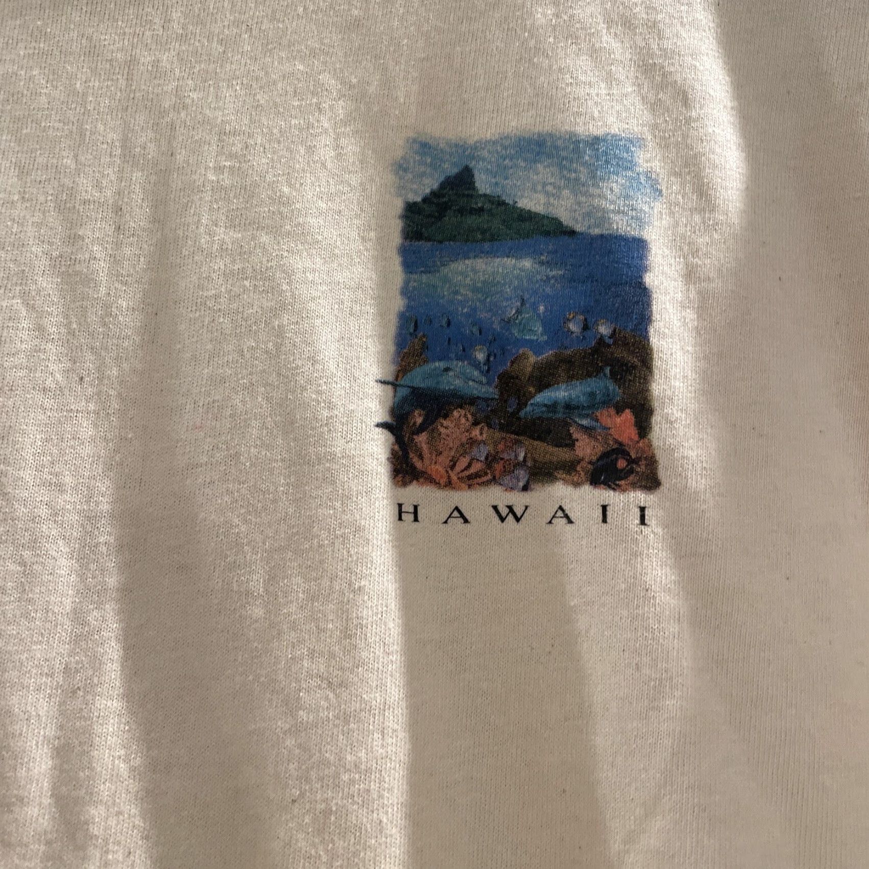 Hanes VINTAGE Hanes Beefy-T T-Shirt Double-Sided Fishes Of Hanauma Bay Hawaii Solid Crew Neck Small S Beige Men’s 90s Nature Animals Hawaii Retro Dept Men Size US S / EU 44-46 / 1 - 5 Thumbnail