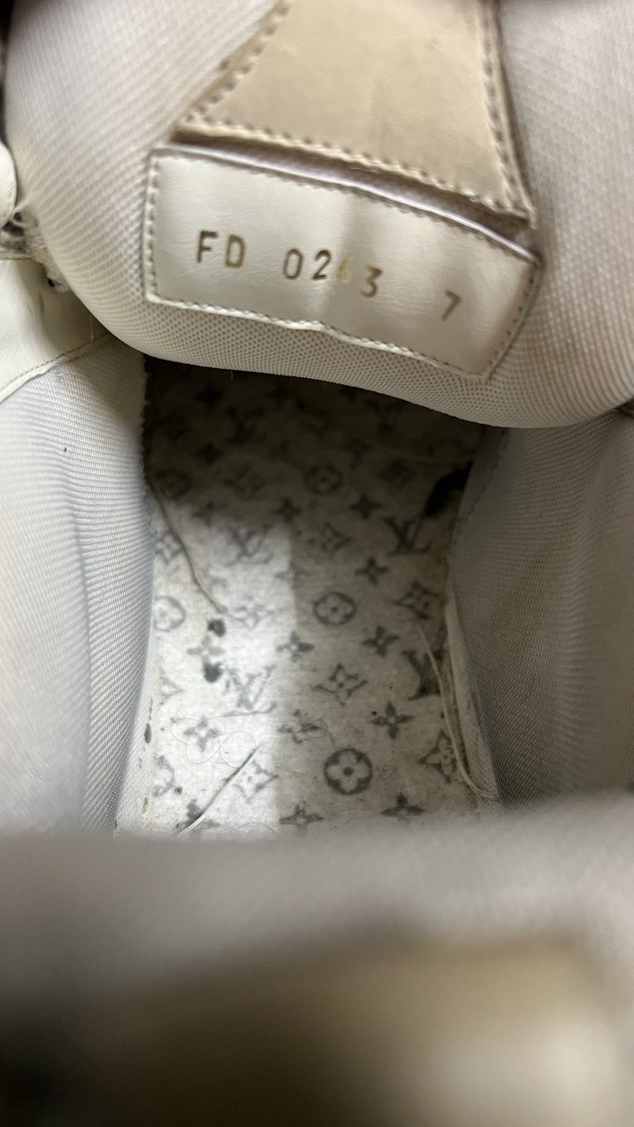 Louis Vuitton Louis Vuitton skate Size US 9 / EU 42 - 15 Thumbnail