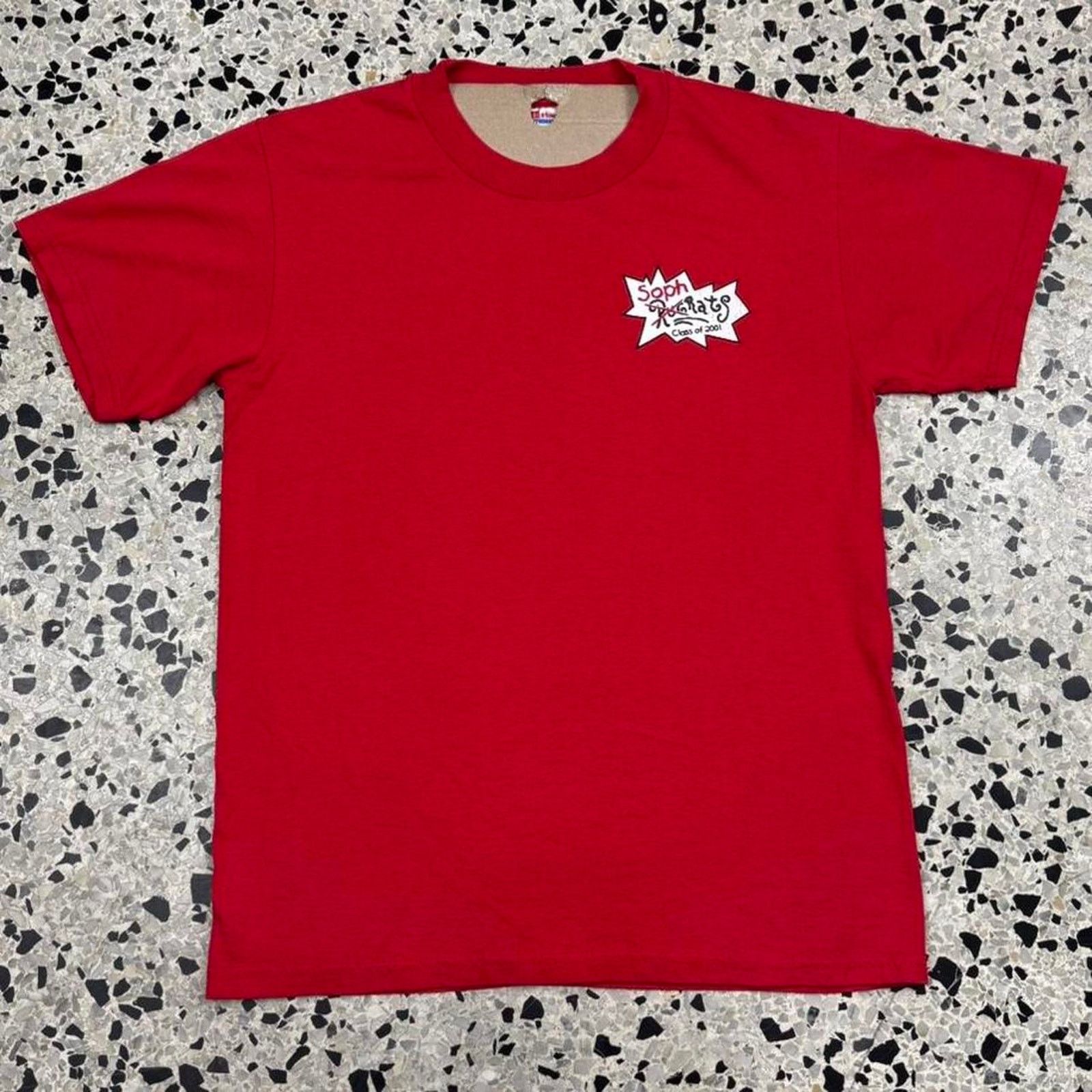 Hanes × Vintage VINTAGE Y2K CLASS OF 2001 SOPHRATS RUGRATS PARODY TEE: Size US S / EU 44-46 / 1 - 7 Thumbnail