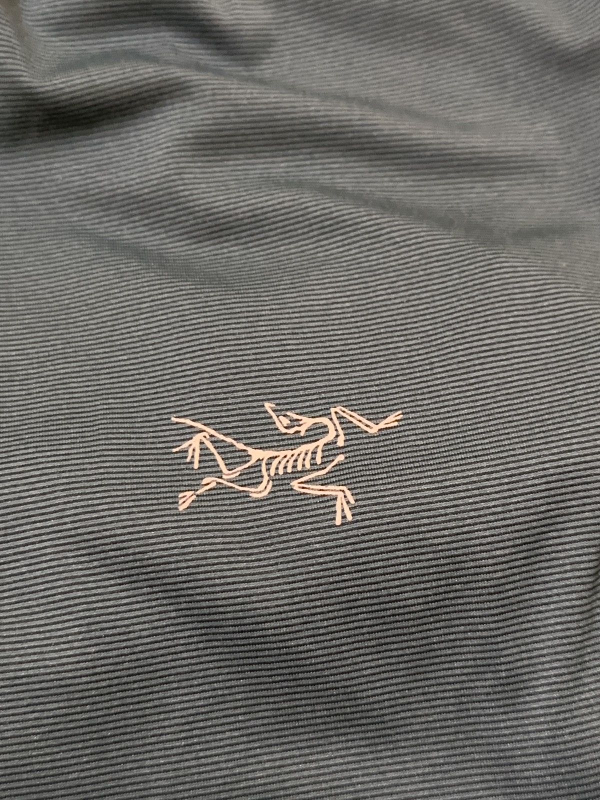 Arc'teryx ArcTeryx Men's Phase SL Blue Zip Neck Long Sleeve T-Shirt Size US M / EU 48-50 / 2 - 2 Thumbnail