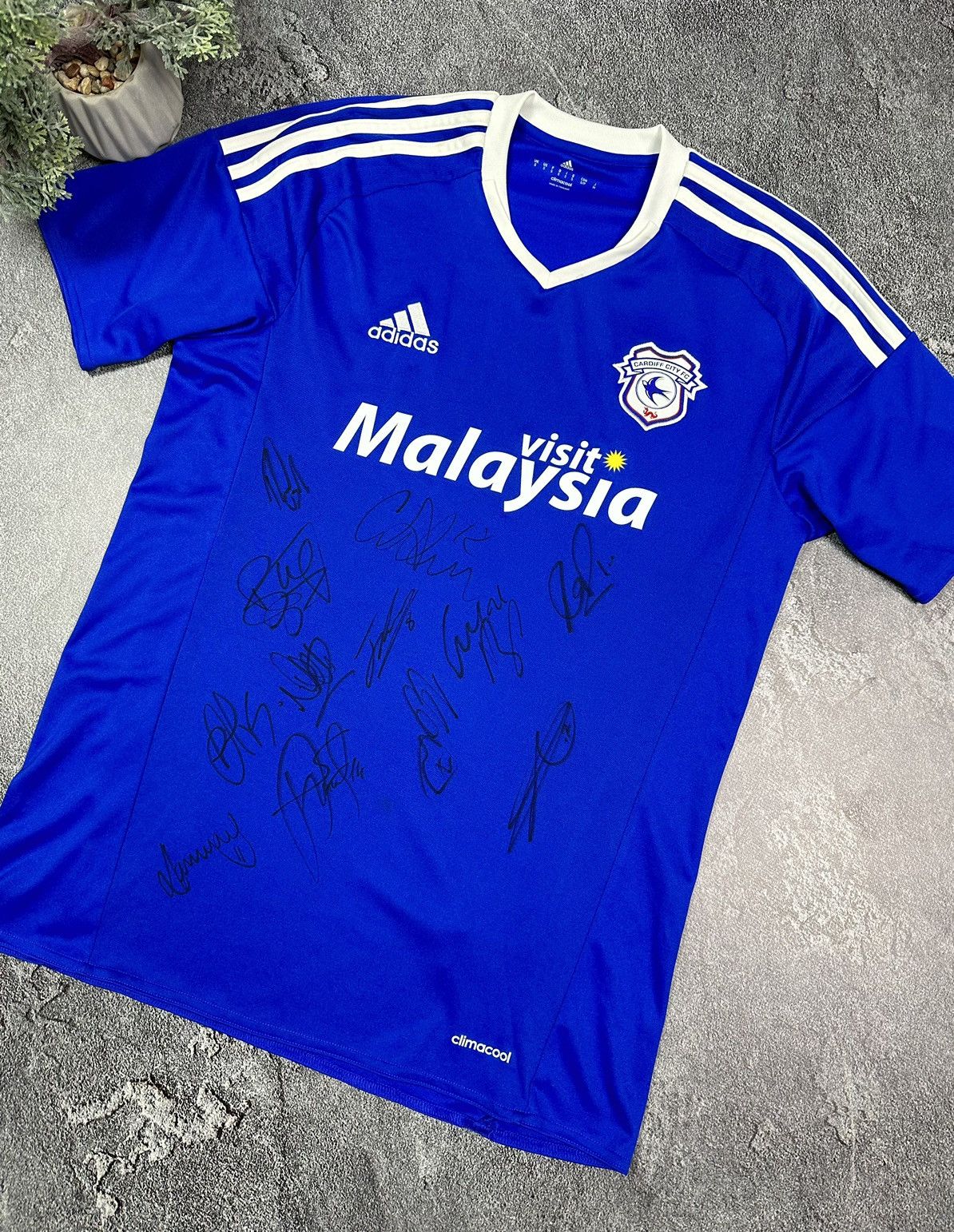 Adidas Cardiff City Soccer Jersey Football 2015/16 with autographs Size US S / EU 44-46 / 1 - 2 Thumbnail