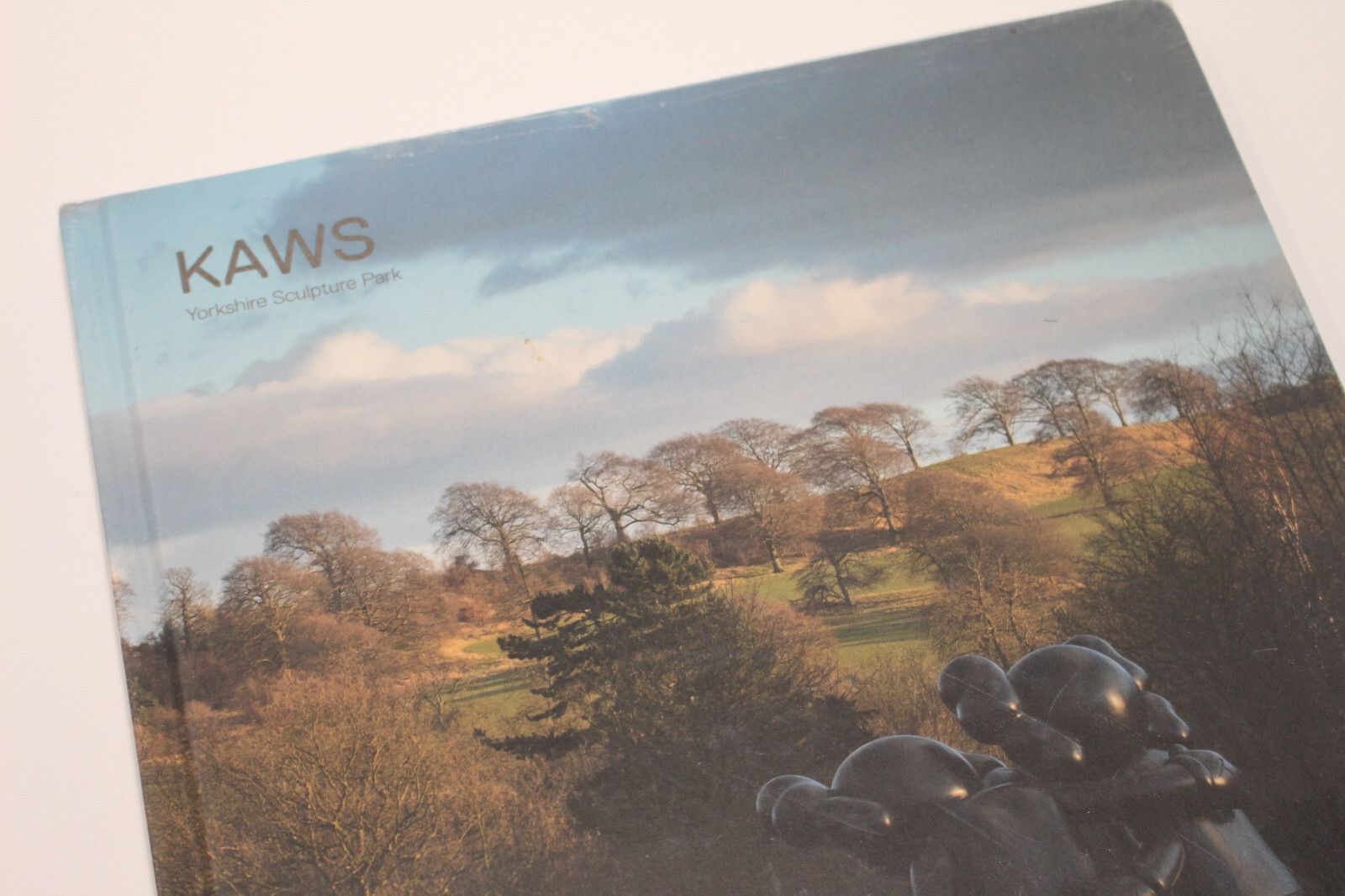 Kaws Kaws Yorkshire Sculpture Park YSP Catalogue Hardcover Book Size ONE SIZE - 4 Thumbnail