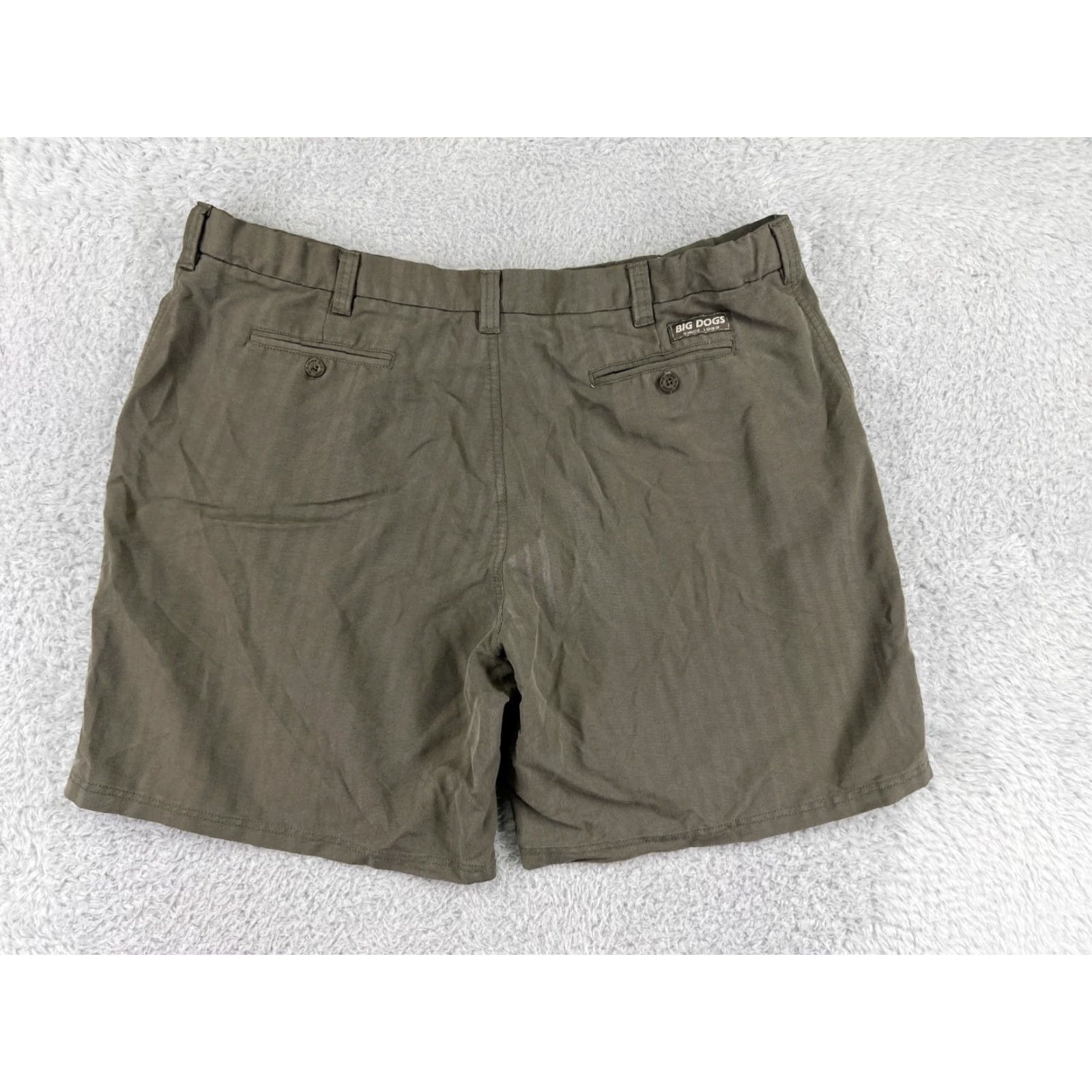 Big Dogs Big Dogs Mens Shorts 42 Green Rayon Blend Chino Beach Aloha Pattern Striped Casual Fall Spring Summer Mens Size US 42 / EU 58 - 2 Thumbnail