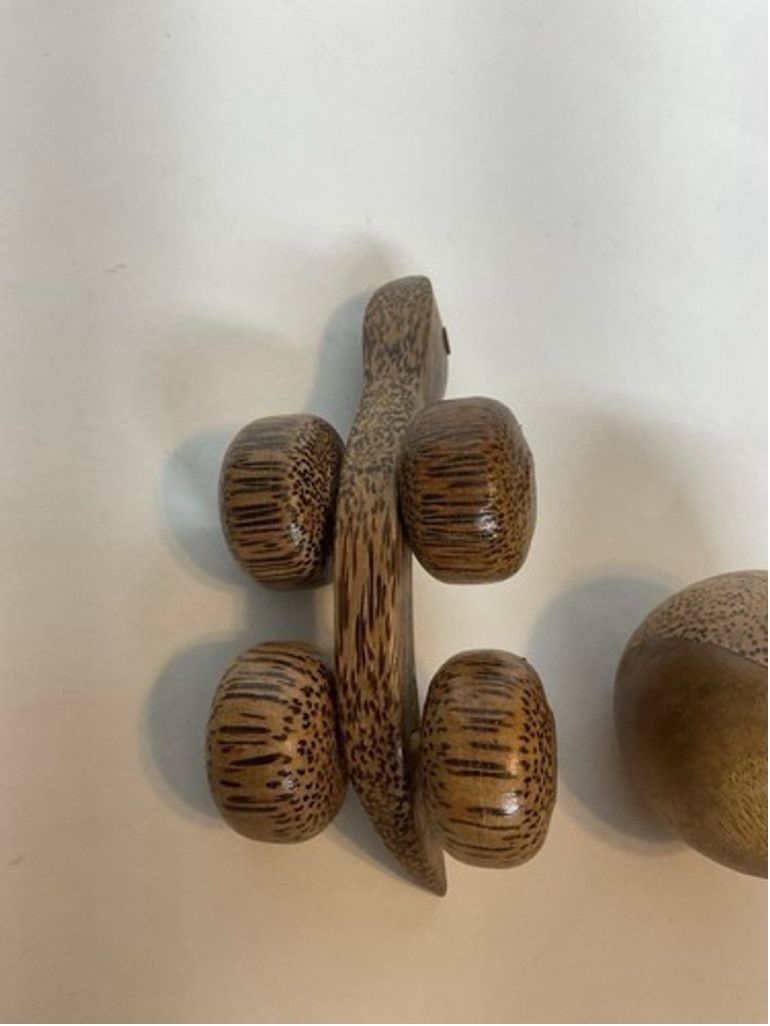 Other Turtle Push Toy Educational Toyon Wheels Rolling BallOn Top Size ONE SIZE - 5 Thumbnail