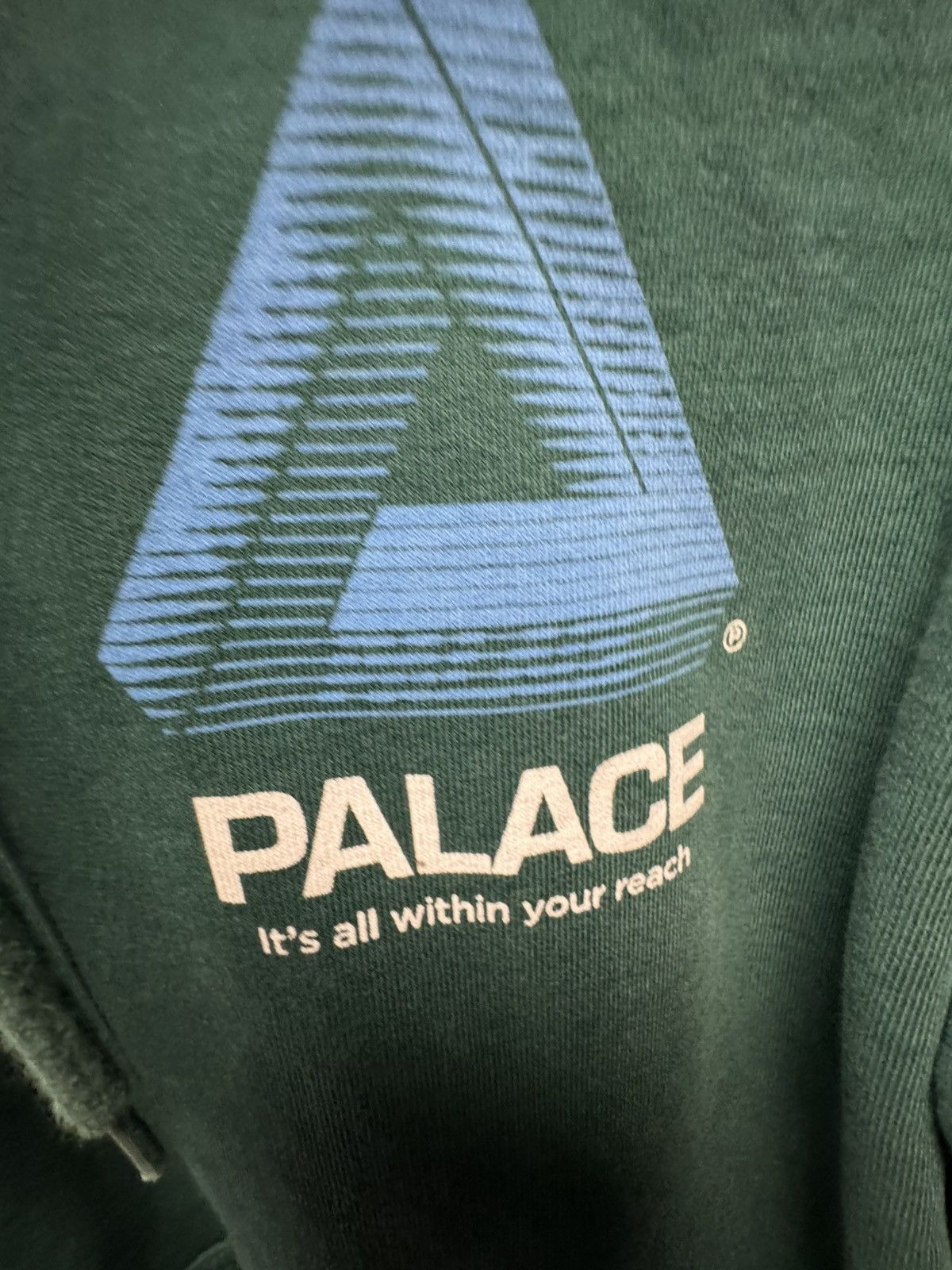 Palace Palace Its All Within Your Reach Hoodie Green Size US S / EU 44-46 / 1 - 3 Thumbnail