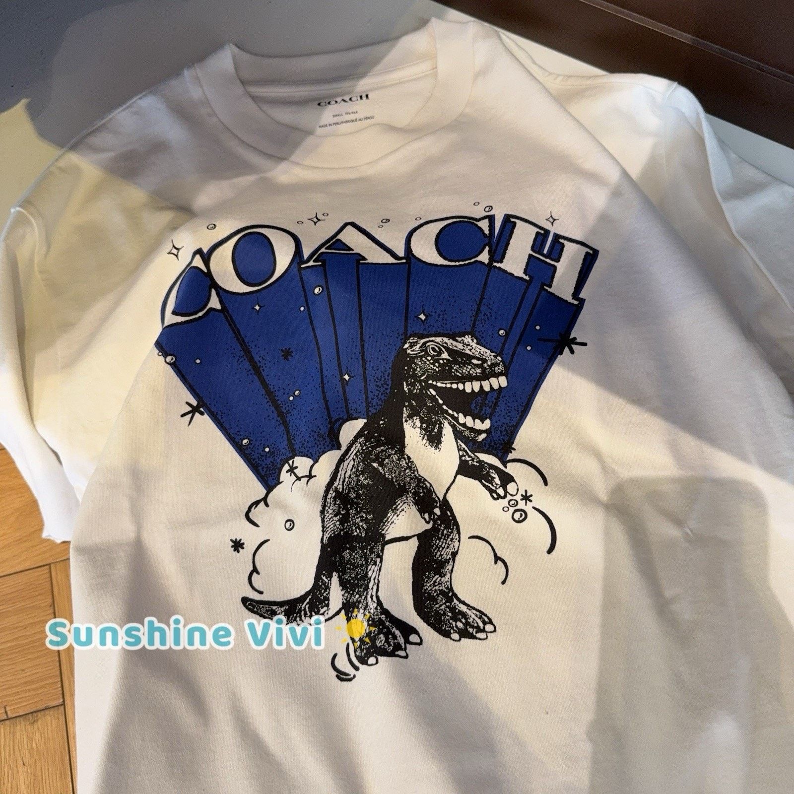 Coach NWT COACH Men T-Rex Relaxed T-Shirt Vintage CCT56 small Size US S / EU 44-46 / 1 - 3 Thumbnail