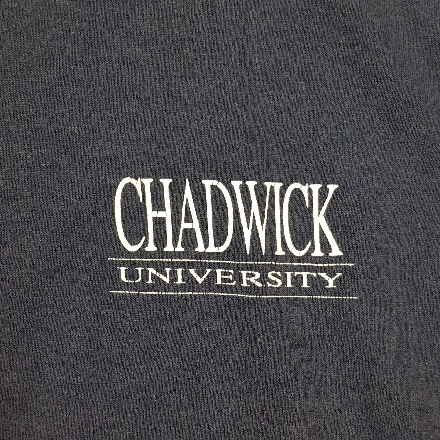 Jerzees Vintage 90s Chadwick University Faded Blue 2XL Distressed College T Shirt Mens Vintage 90s Size US XXL / EU 58 / 5 - 5 Thumbnail