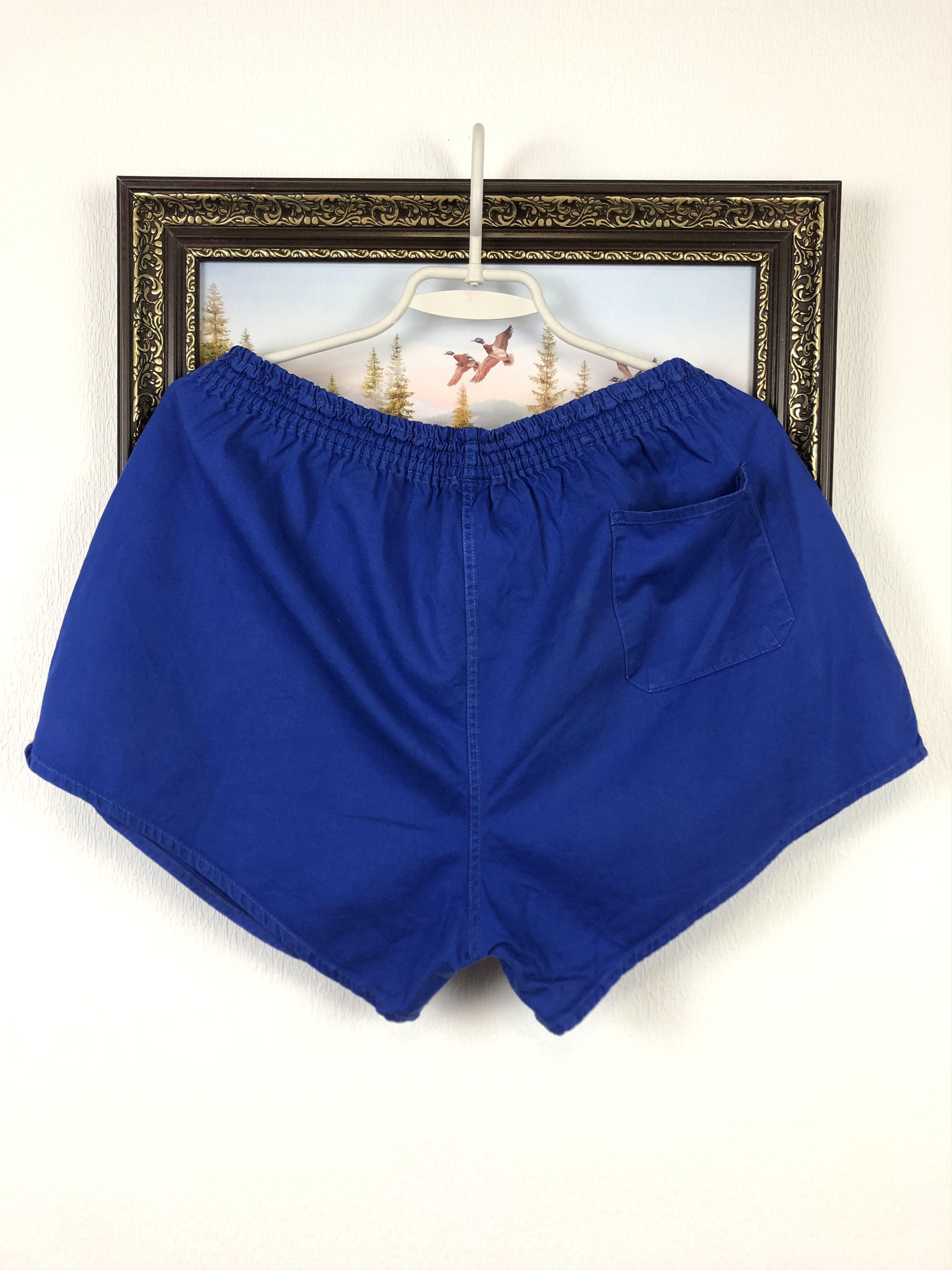 Vintage 90's Adidas Nylon Shorts Rare Blue Run Hype
