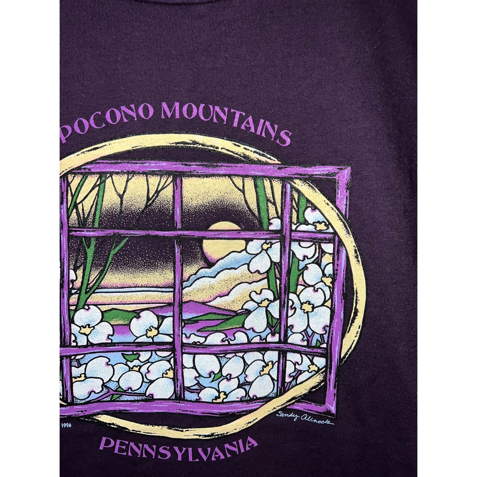 Jerzees Vintage Pocono Mountains Shirt Pennsylvania Tee VTG 90s L Size US L / EU 52-54 / 3 - 3 Thumbnail