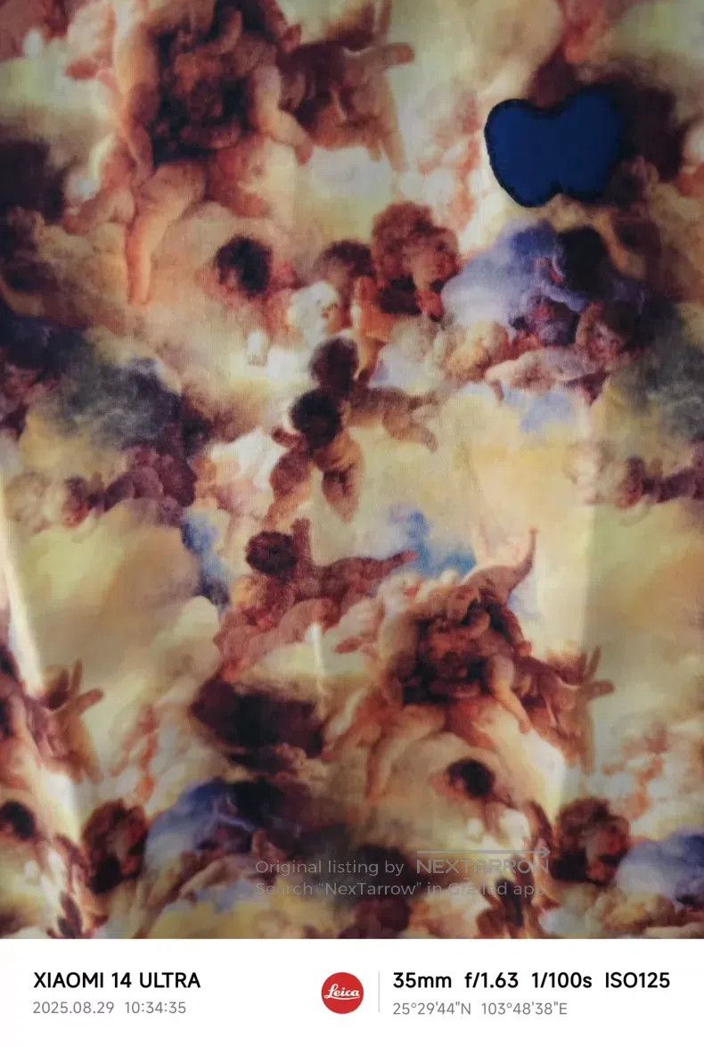Vivienne Westwood Vivienne Westwood Fully Printed Oil Painting Angel Vest Size M / US 6-8 / IT 42-44 - 5 Thumbnail