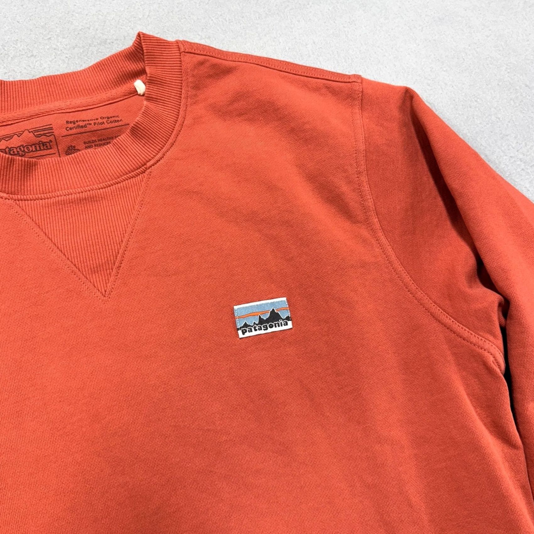Patagonia Patagonia Sweatshirt Mens Small Orange Organic Cotton Crewneck Fleece Pullover Size US S / EU 44-46 / 1 - 5 Thumbnail