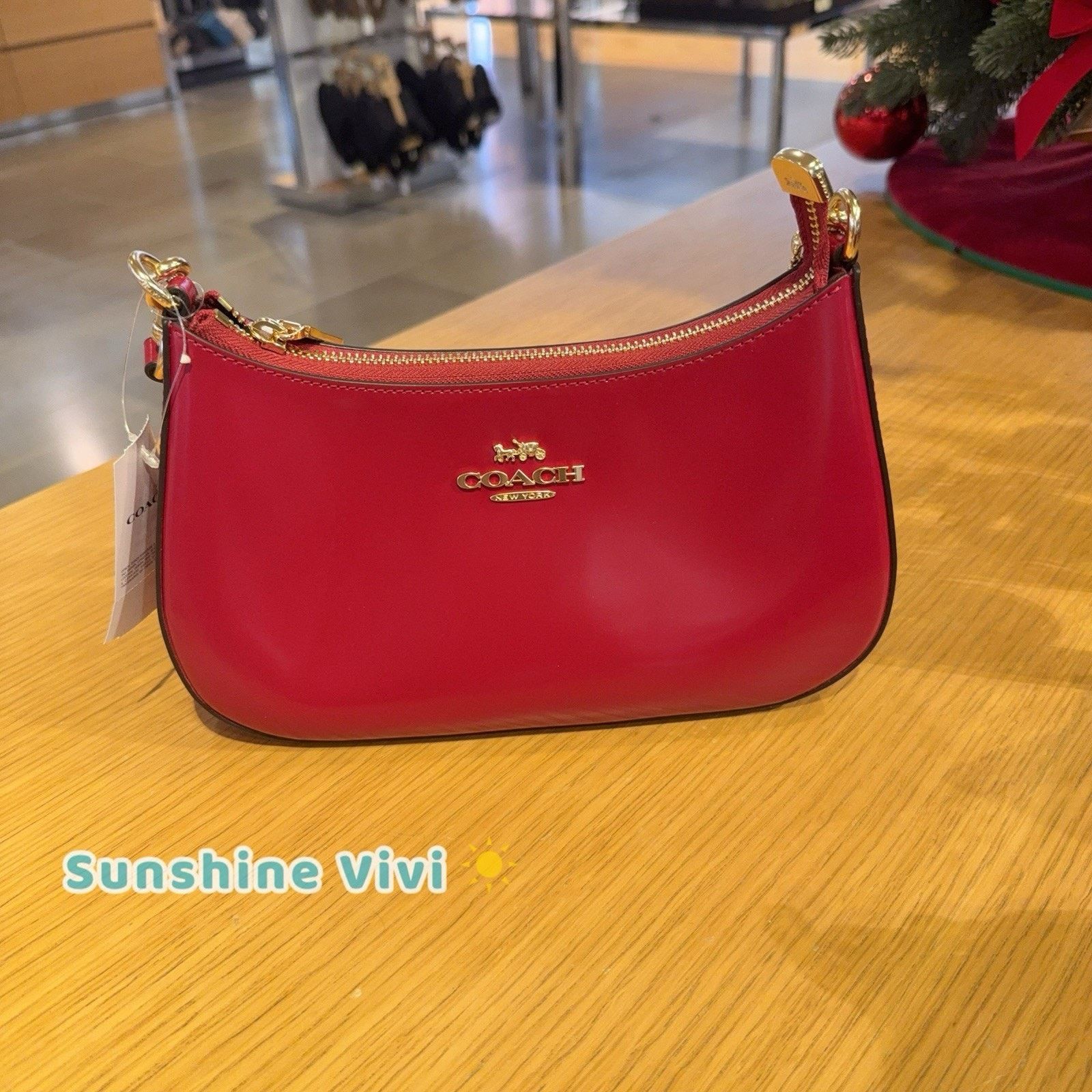 Coach NWT Bundle Coach CV938 Teri Red & Cherry Bag Charm 77840 Size ONE SIZE - 13 Thumbnail