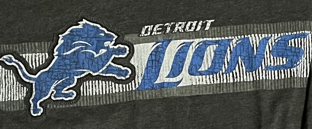 NFL NFL Detroit Lions long sleeve tee shirt Size US M / EU 48-50 / 2 - 3 Thumbnail