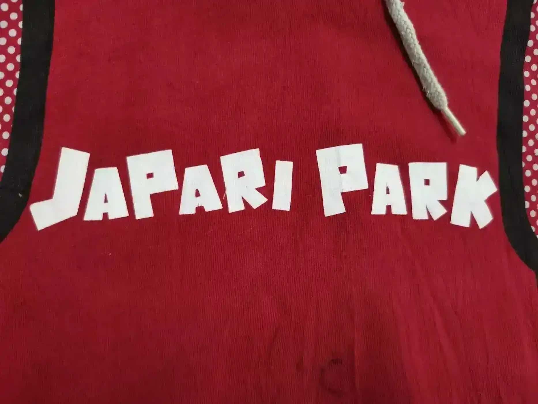 Other Vintage Japari Park Hoodie Size US L / EU 52-54 / 3 - 6 Thumbnail
