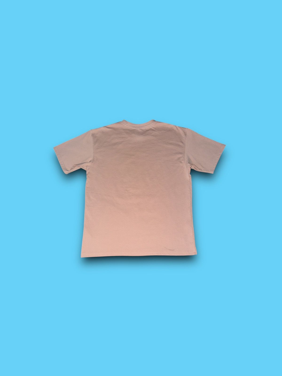 Nike ACG Nike ACG Men’s Small Pink T Shirt DJ3644-601 Size US S / EU 44-46 / 1 - 3 Thumbnail