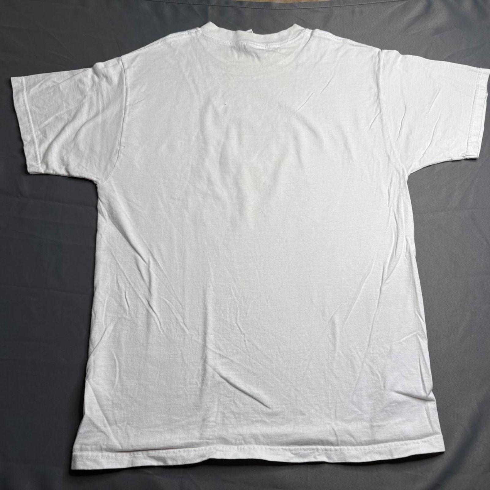 Fruit Of The Loom Vintage shirt Budweiser “get wet at the lake” 2000s szl Size US L / EU 52-54 / 3 - 5 Thumbnail