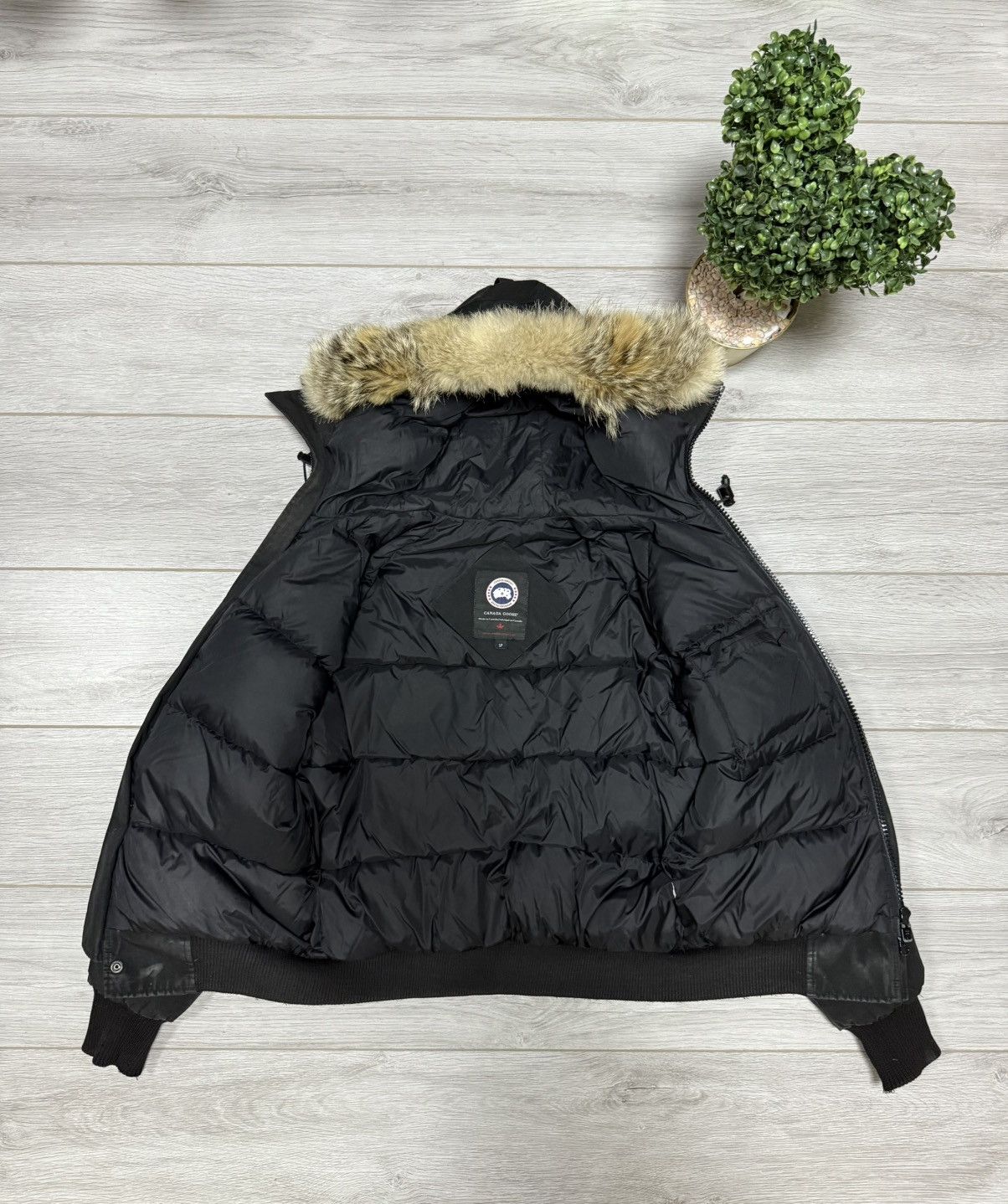 Canada Goose Canada Goose Chilliwack bomber down jacket fur Size US M / EU 48-50 / 2 - 8 Thumbnail