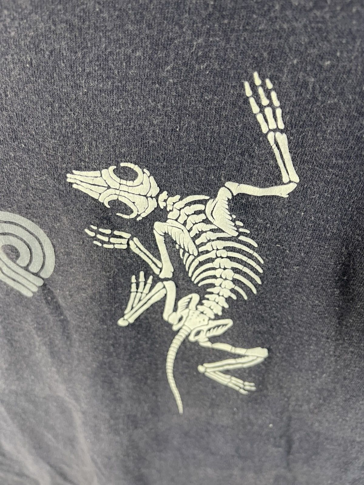 Powell Peralta Thrashed 1988 Vintage Powell Peralta Rat Bones T-Shirt Size US S / EU 44-46 / 1 - 7 Thumbnail