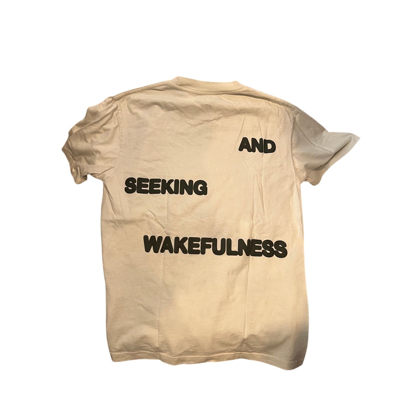 Pacsun Pacsun Lost In Dreams and Seeking Wakefulness T-Shirt Mens M Size US M / EU 48-50 / 2 - 2 Thumbnail