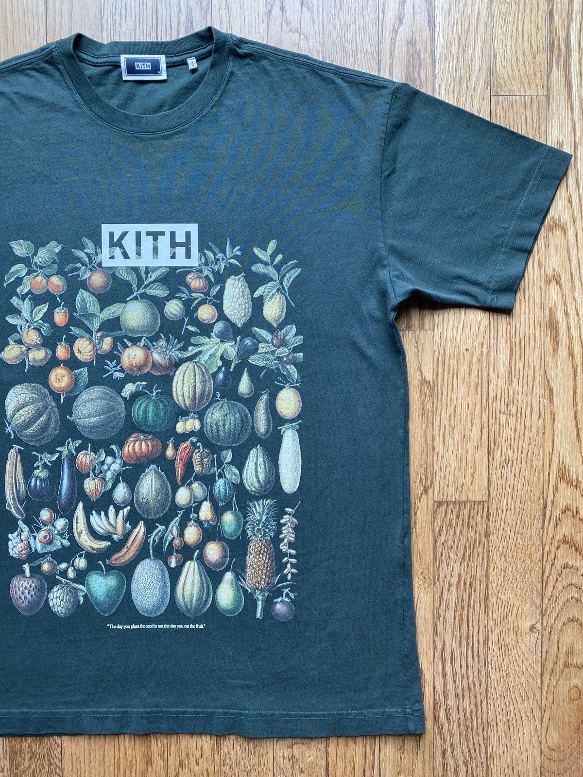 Kith Kith Plant Fruit Pumpkin Seed Tee Sz S Size US S / EU 44-46 / 1 - 2 Thumbnail