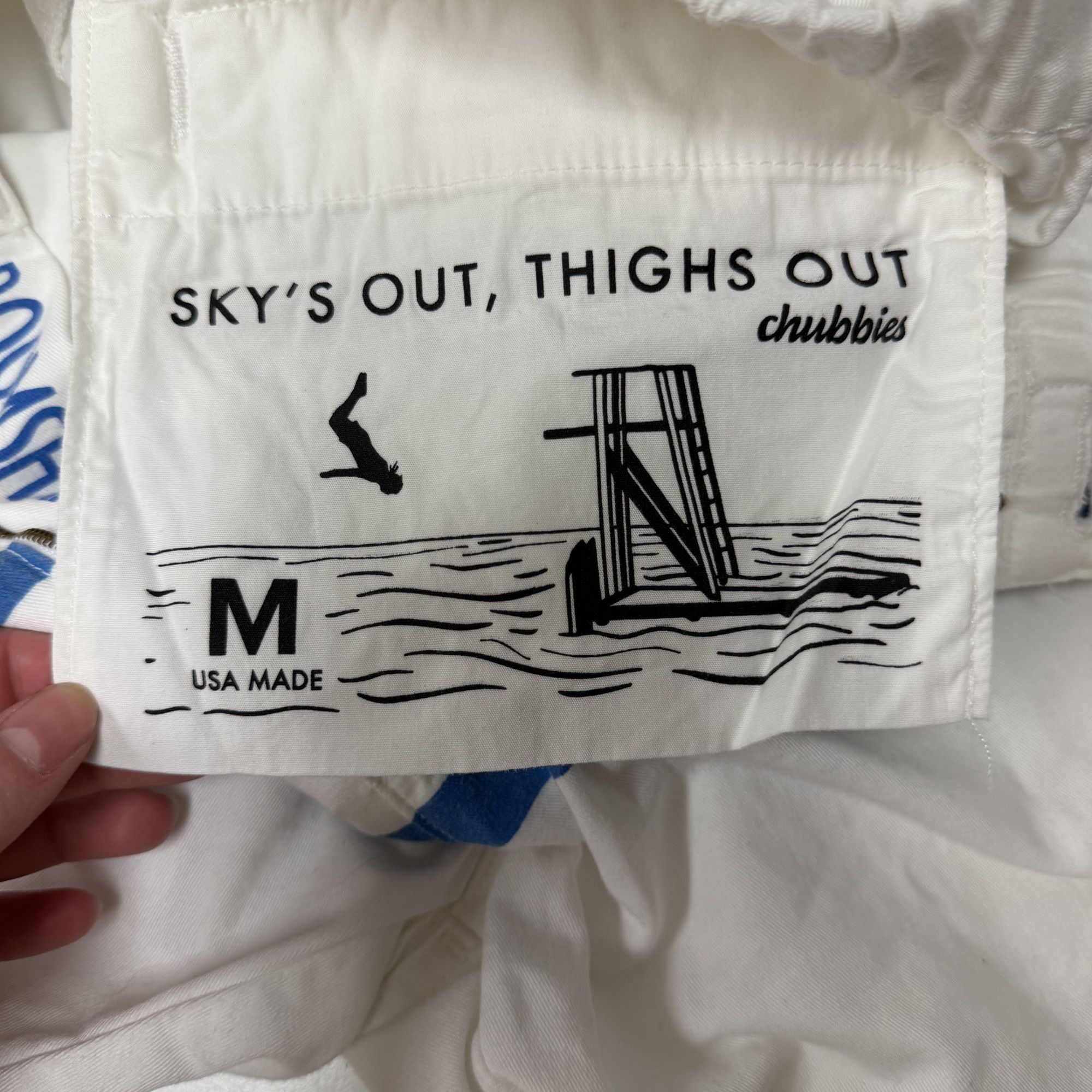 Chubbies Chubbies Stripe BOOMSHAKALAKA Sky's Out Thighs Out Shorts Size US 30 / EU 46 - 4 Thumbnail