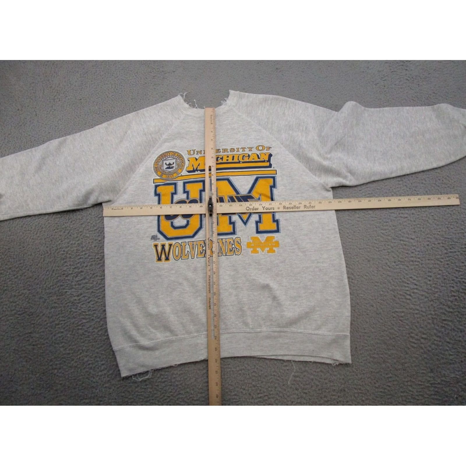 Tultex VTG 90s University of Michigan Wolverines Raglan Sleeve Sweatshirt XL Multicolor Men Hoodie Pullover Distressed 90s Theme Varsity Thrash Size US XL / EU 56 / 4 - 6 Thumbnail