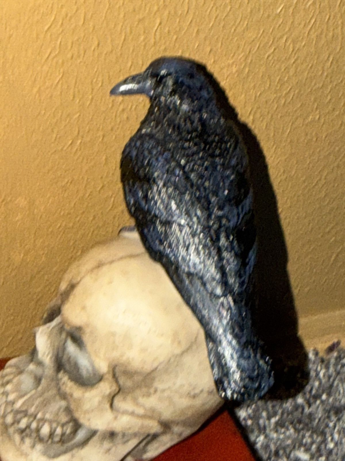 Other DWK Skull Bird Book End 2 Piece Set Used Pre Owned Size ONE SIZE - 17 Thumbnail