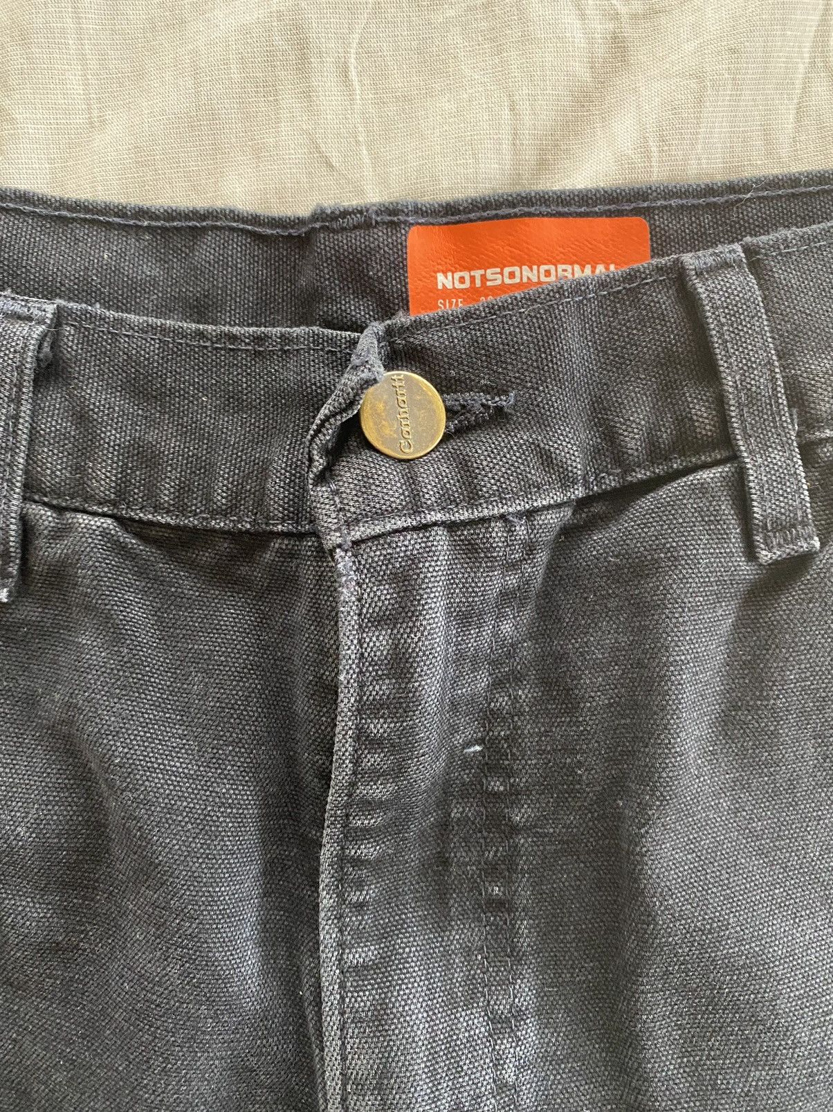 Carhartt × NOTSONORMAL NotSoNormal destroyed working carpenter pants Size 28" / US 6 / IT 42 - 3 Thumbnail