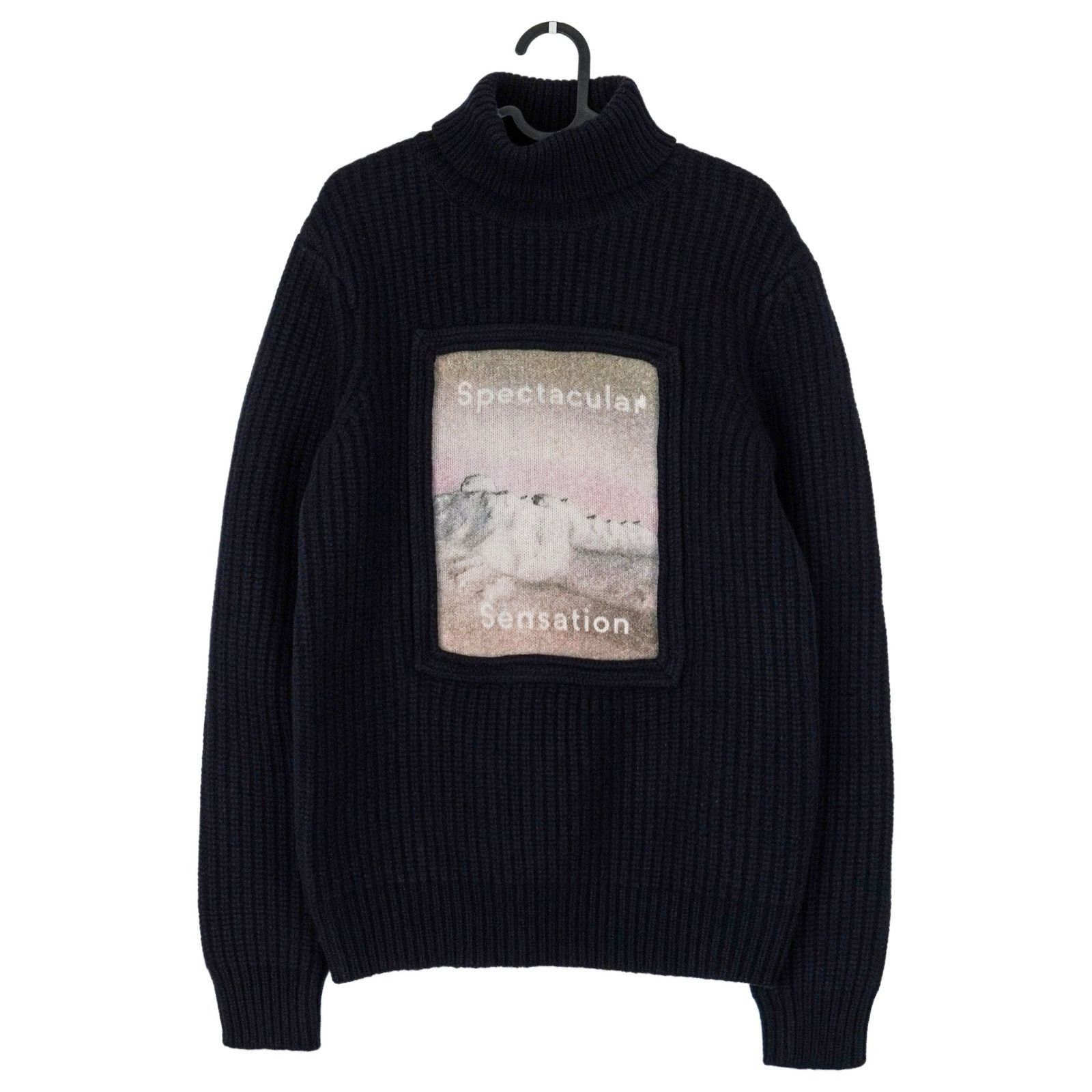 Acne Studios Acne Studios Spectacular Sensation Wool Turtleneck Sweater Size S / US 4 / IT 40 - 1 Thumbnail