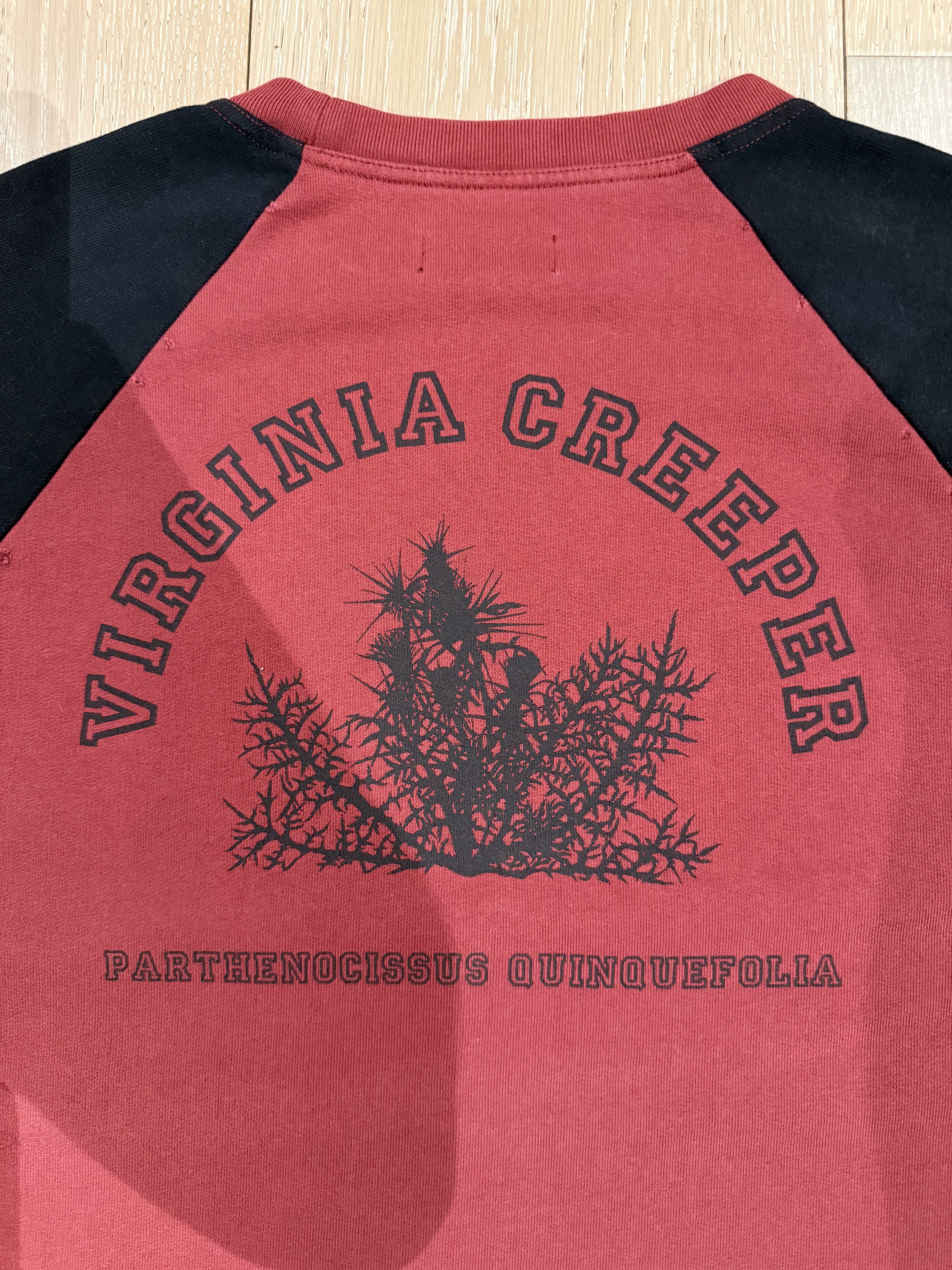 Raf Simons 💚 Raf Simons Redux Virginia Creeper Red/Black Tee Size US L / EU 52-54 / 3 - 4 Thumbnail