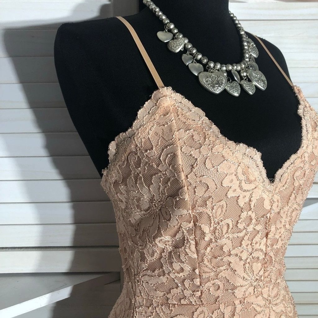 Windsor Smith NWOT Windsor Chantilly Bodycon Dress Lace Mermaid Hem Pink L Size L / US 10 / IT 46 - 5 Thumbnail